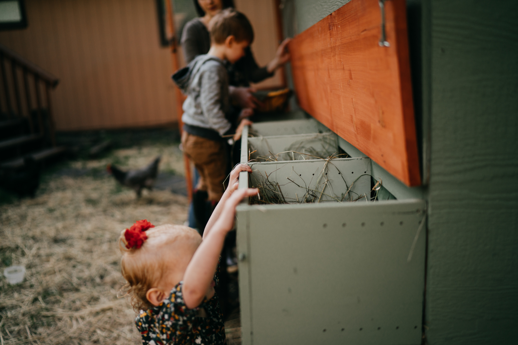 anchoragefamilyphotographer47.jpg