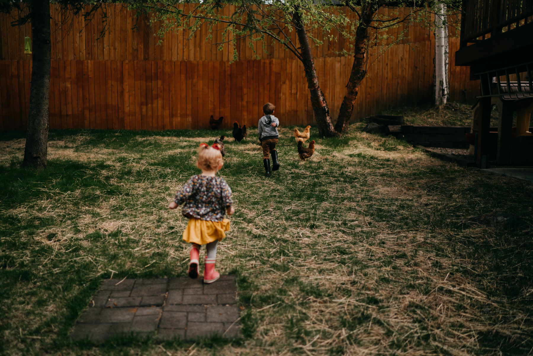 anchoragefamilyphotographer52.jpg