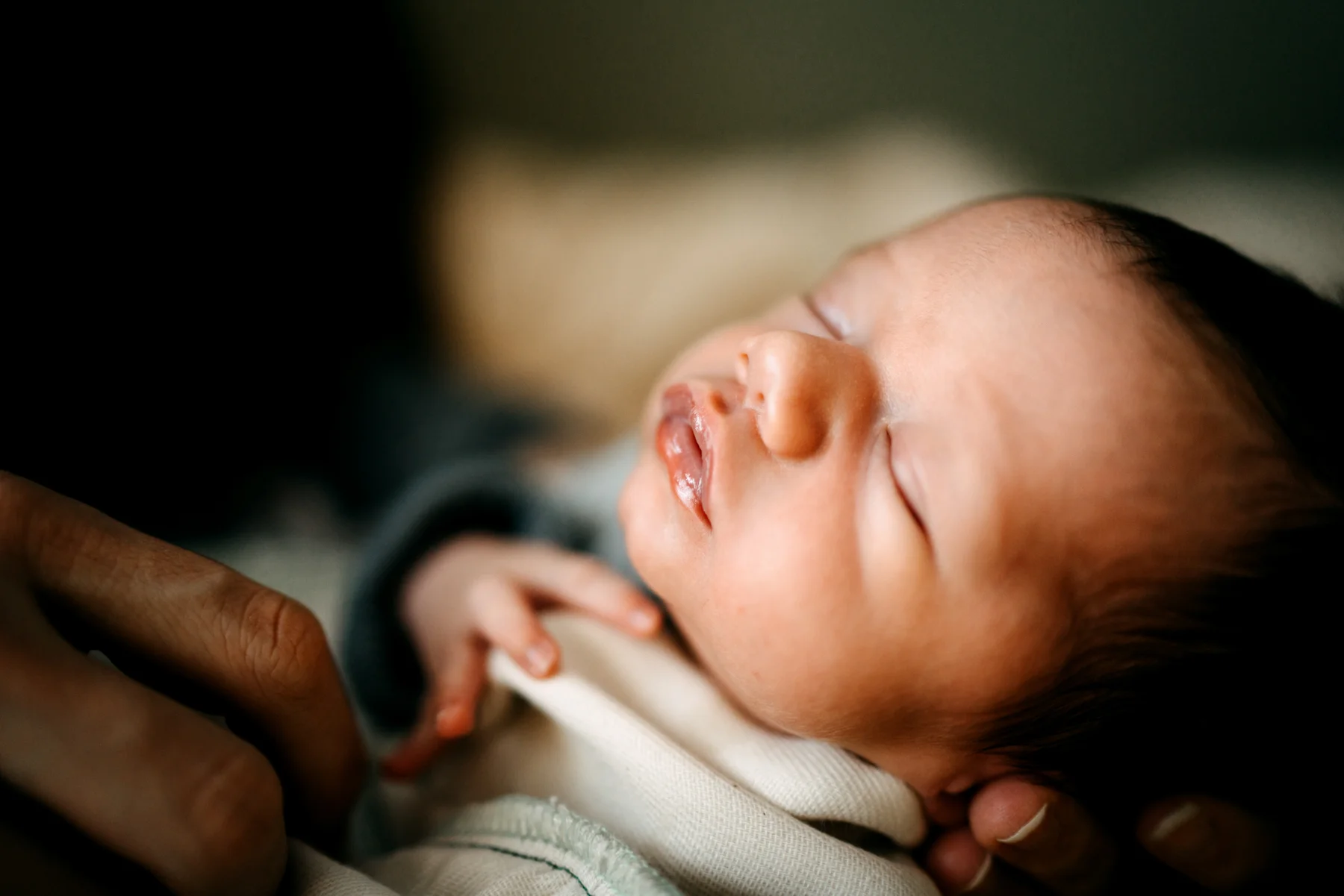 WasillaLifestyleNewbornPhotographer79MossandMyrrh.jpg