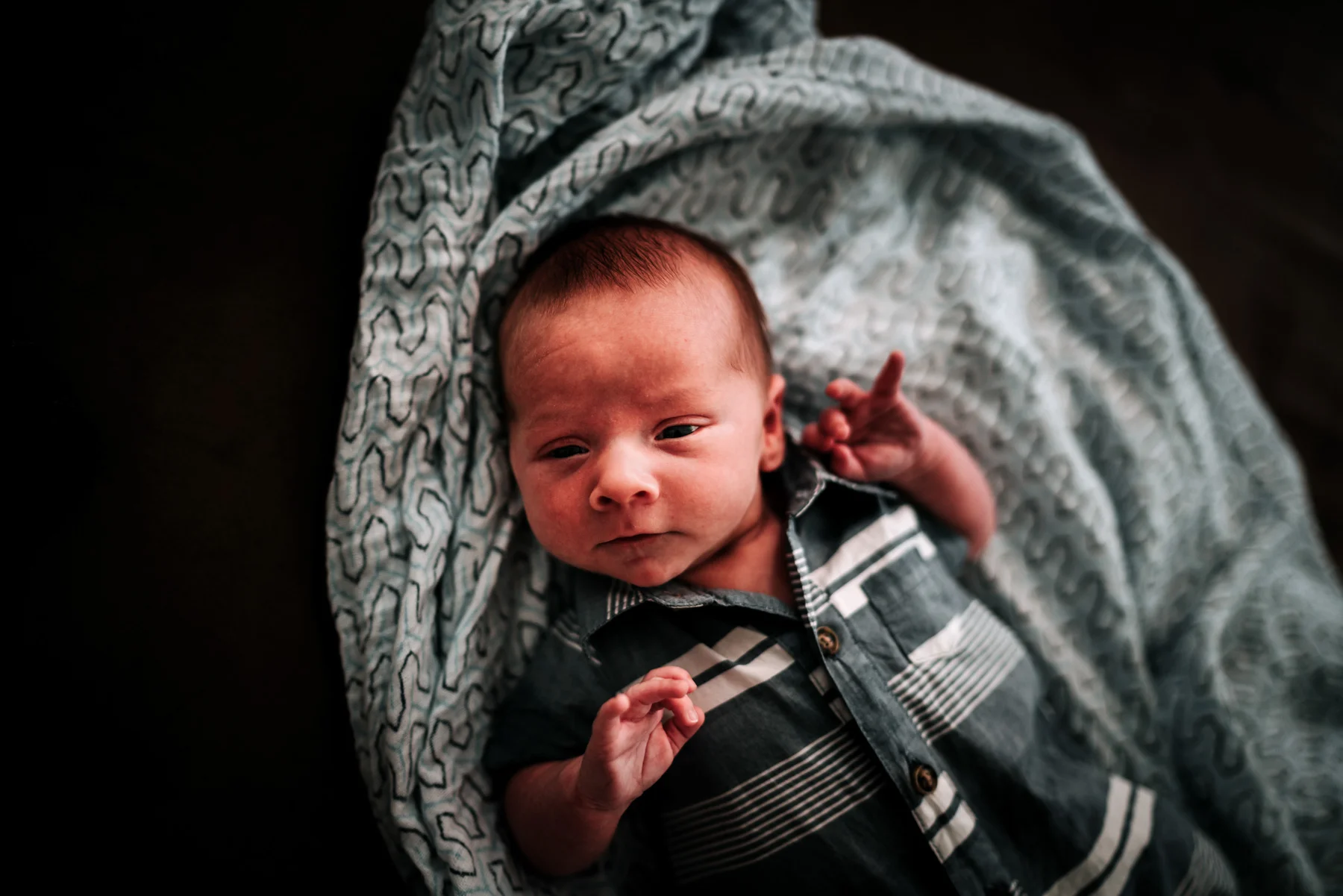 anchoragenewbornphotographermossandmyrrh2019_2.jpg