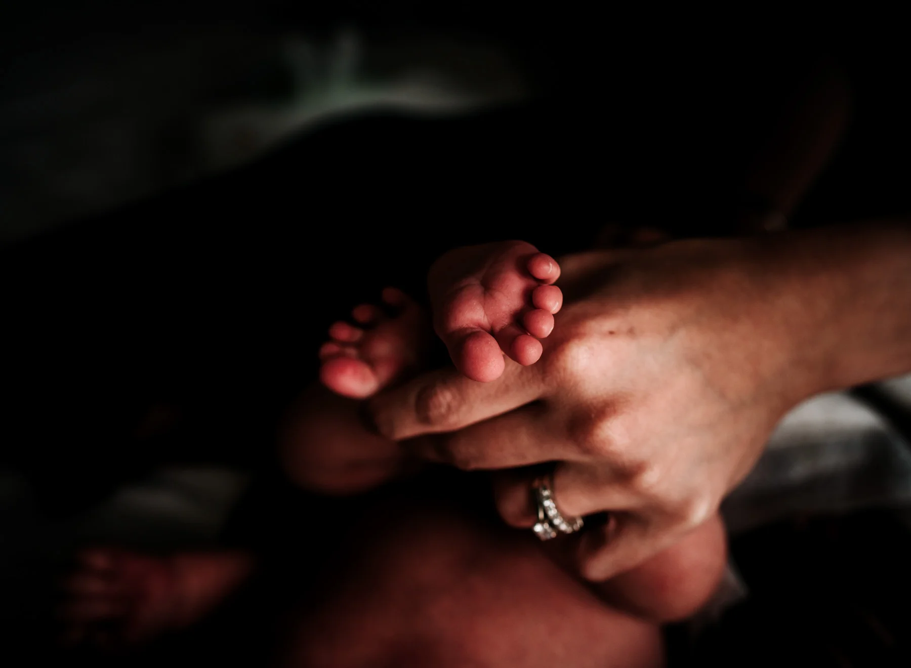 moss-and-myrrh-anchorage-newborn-photographer2019_9.jpg