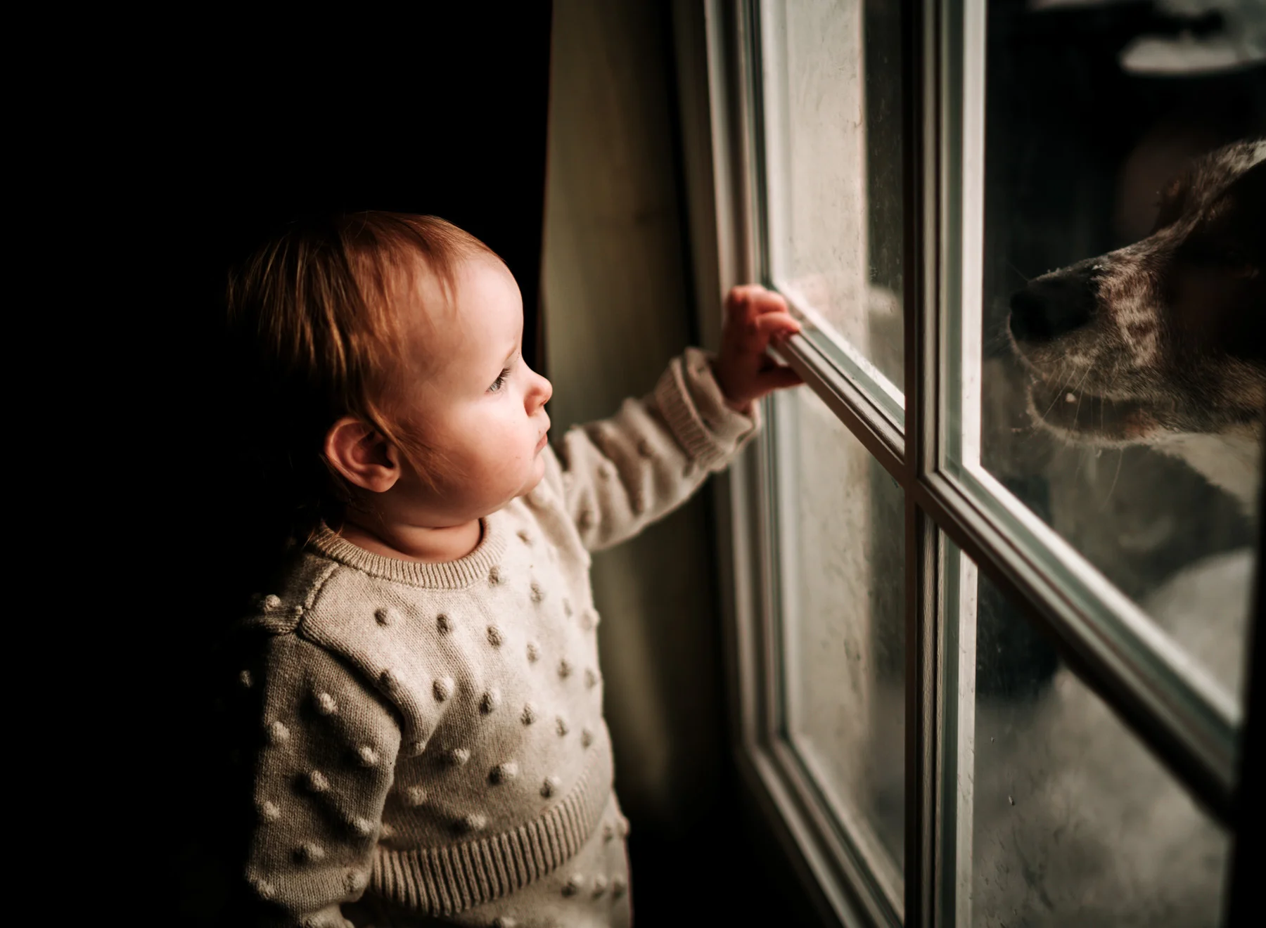 moss-and-myrrh-anchorage-maternity-photographer2019_4.jpg