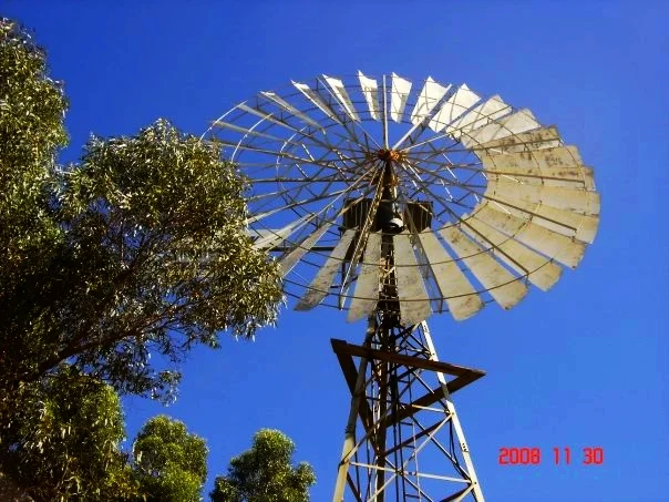 1538_540503384854_7731_n.jpg