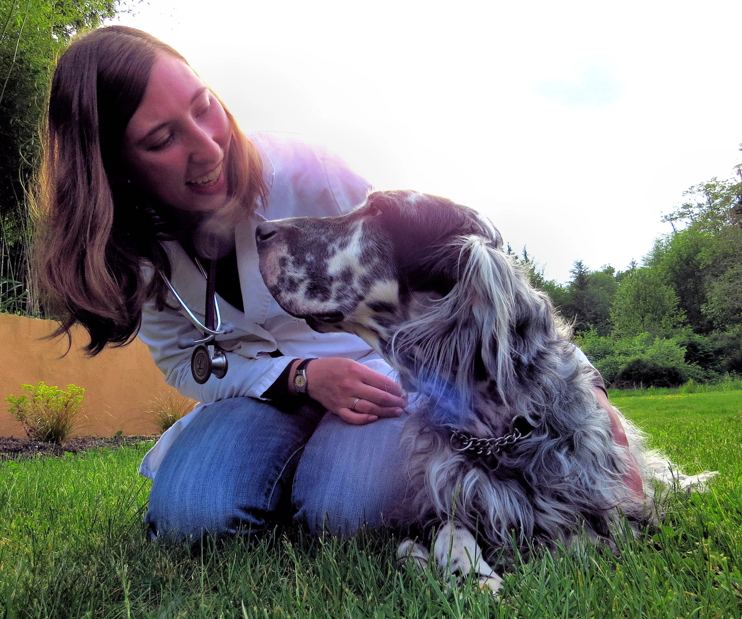 holistic vets near me