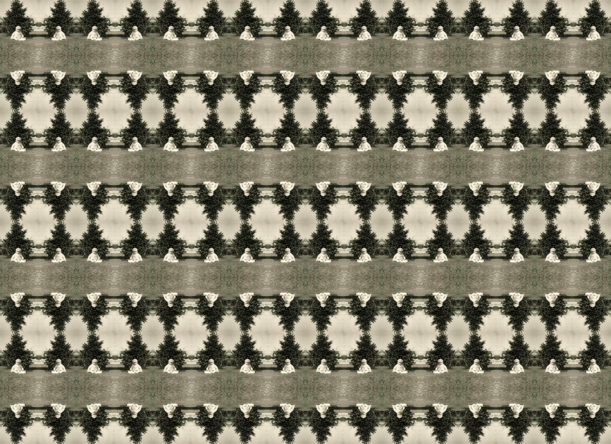 little pine tree finished.jpg