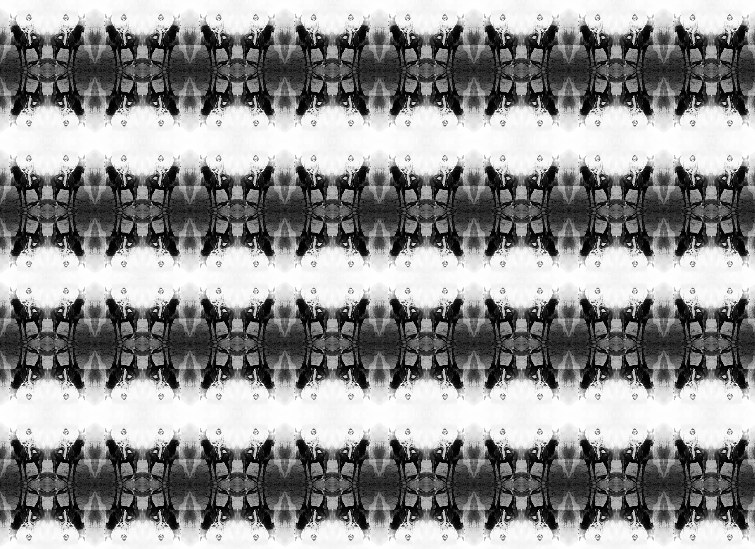 Irene and her stead finished.jpg