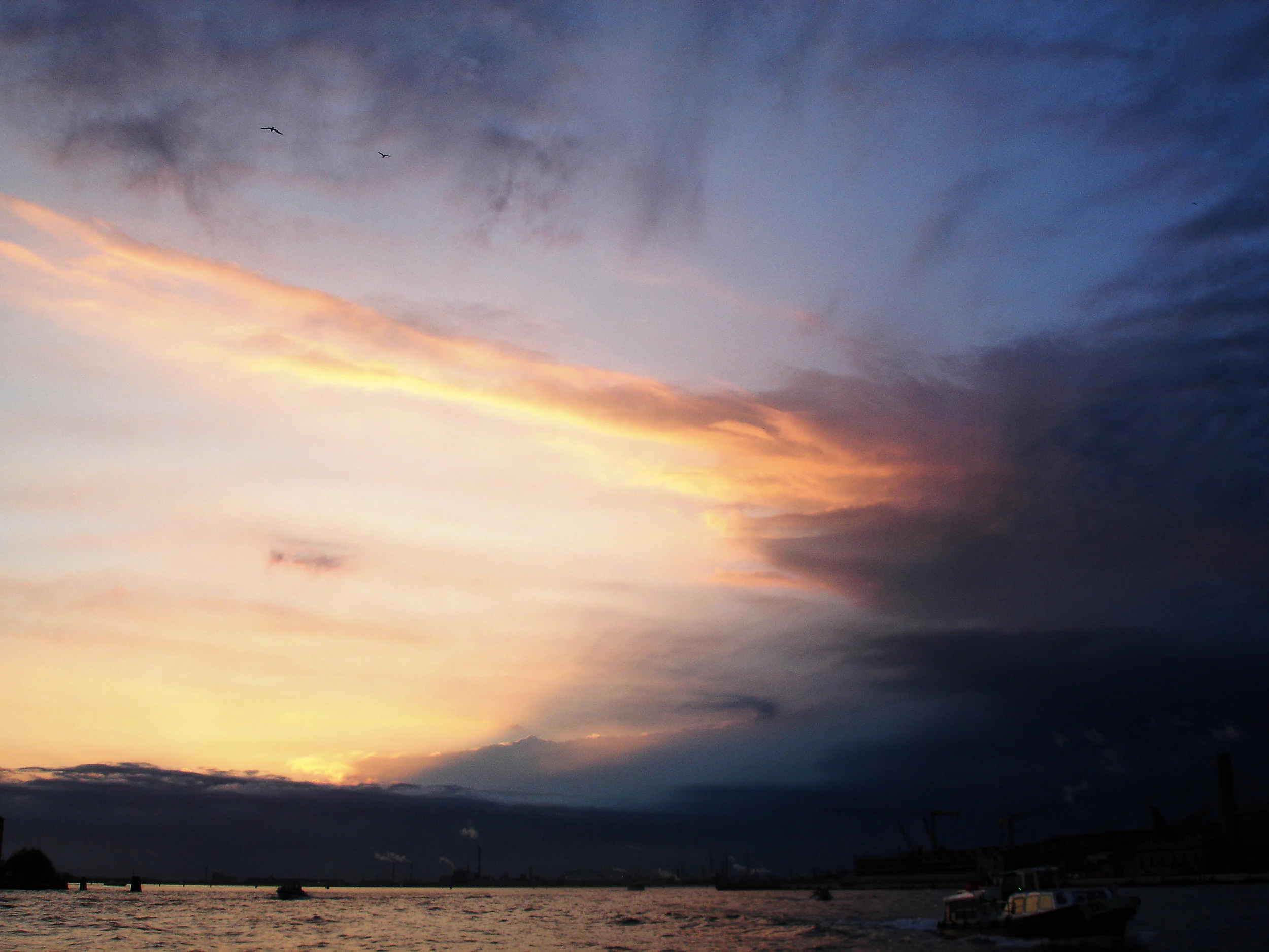 DSC03669 copy 2.jpg