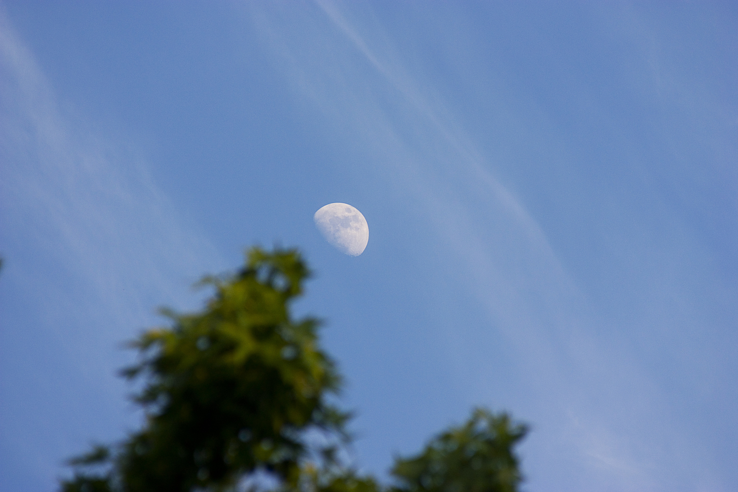 IMG_9019 overlay and sharpen.jpg