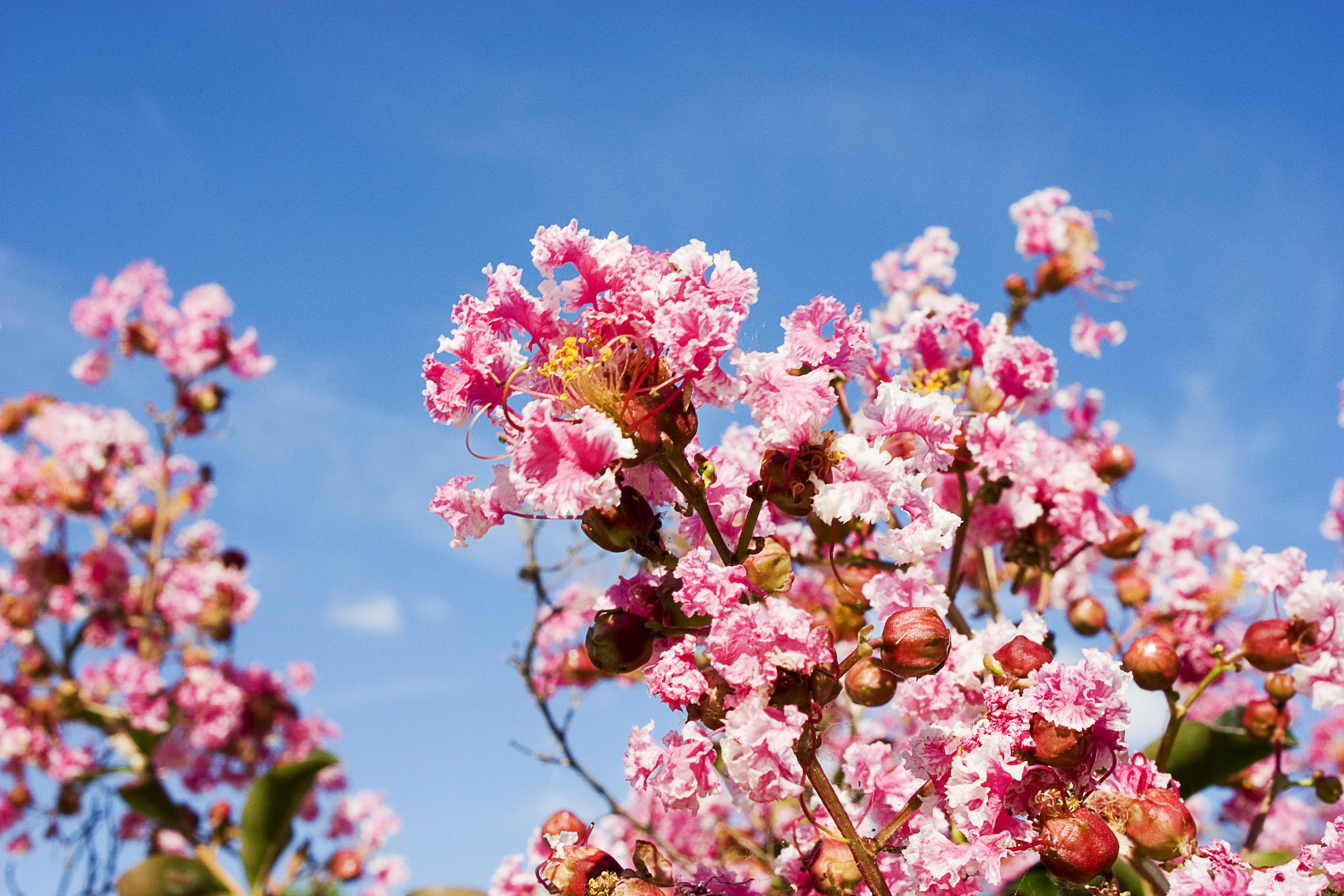 IMG_9212 overlay and sharpen.jpg