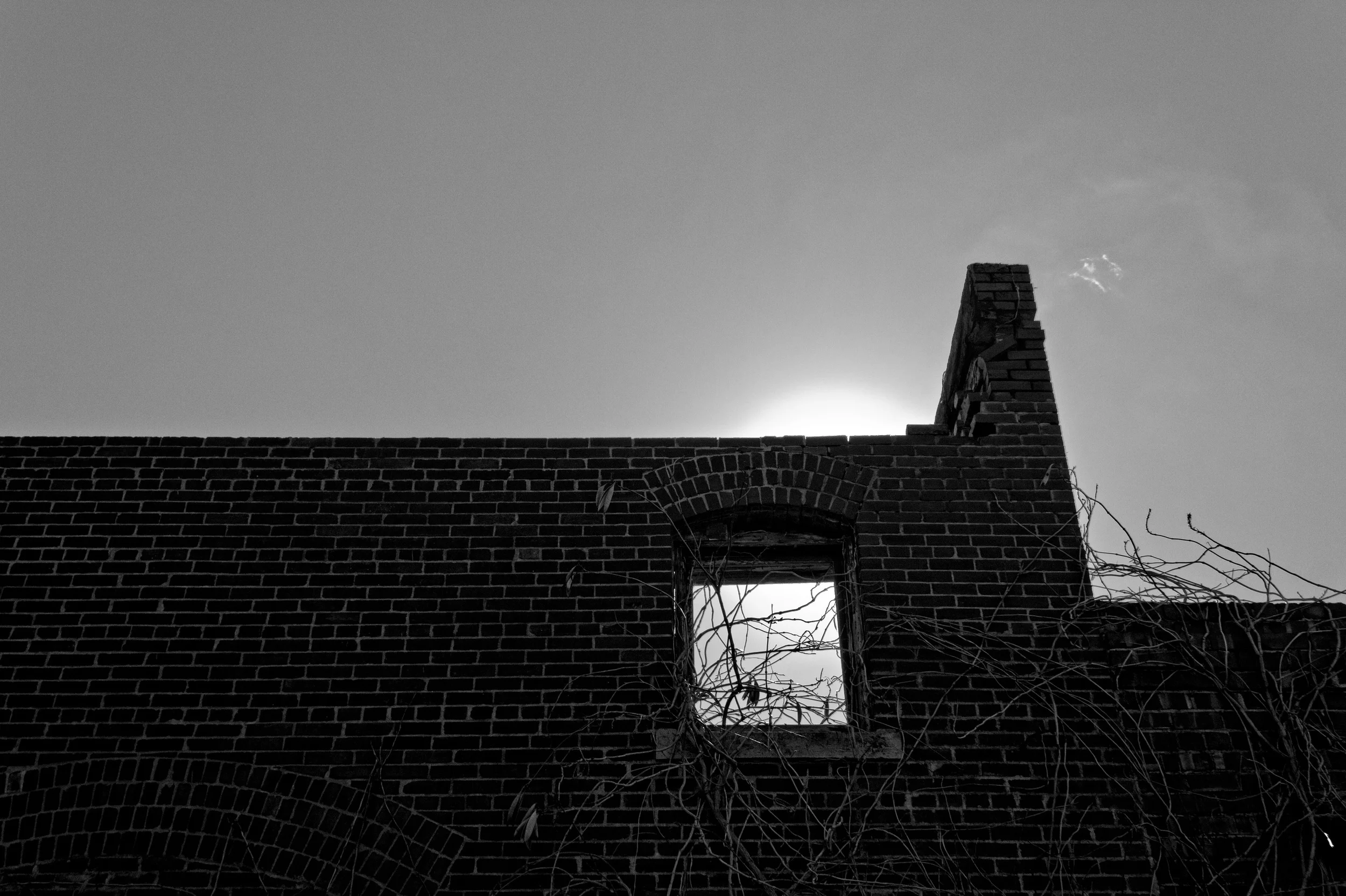 IMG_1311 on1bw sharpen.jpg