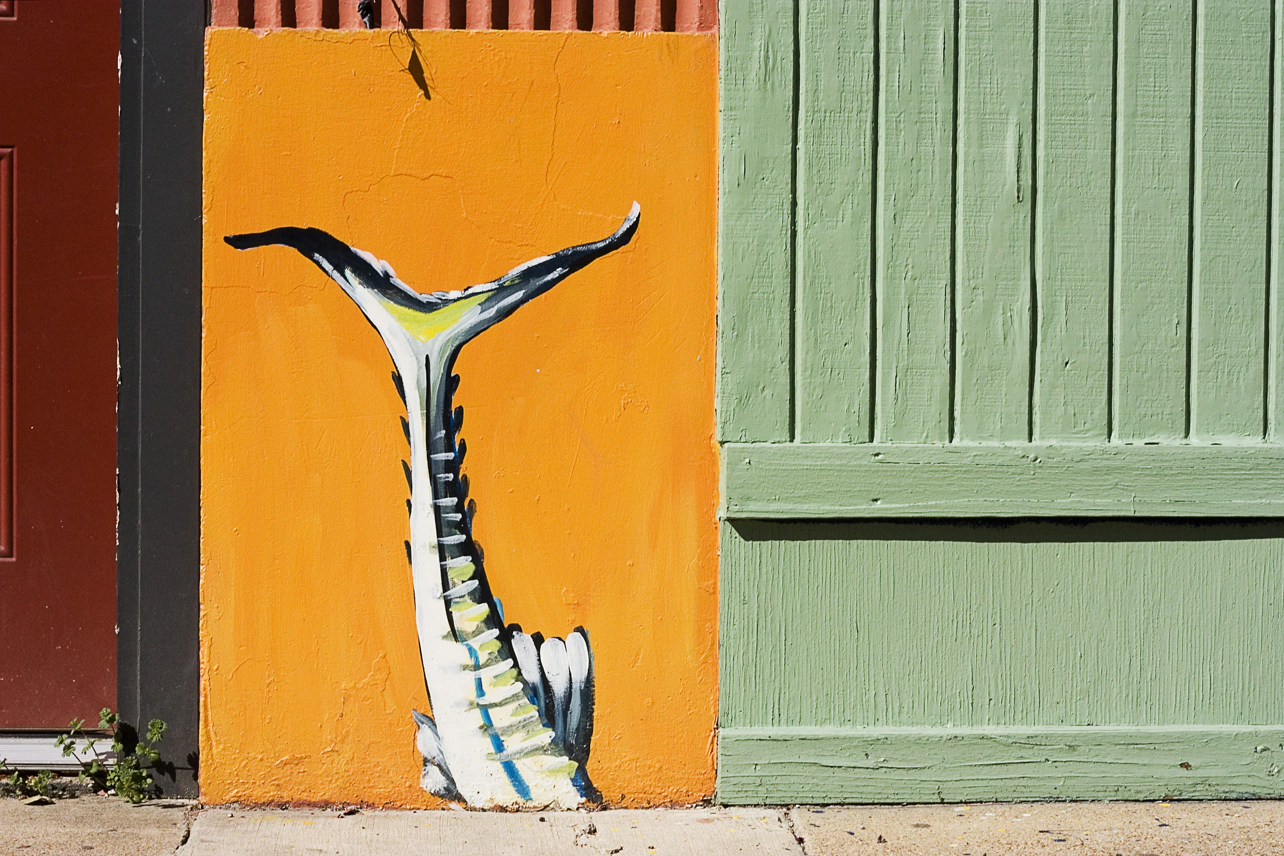 IMG_6376 overlay and sharpen copy 2.jpg