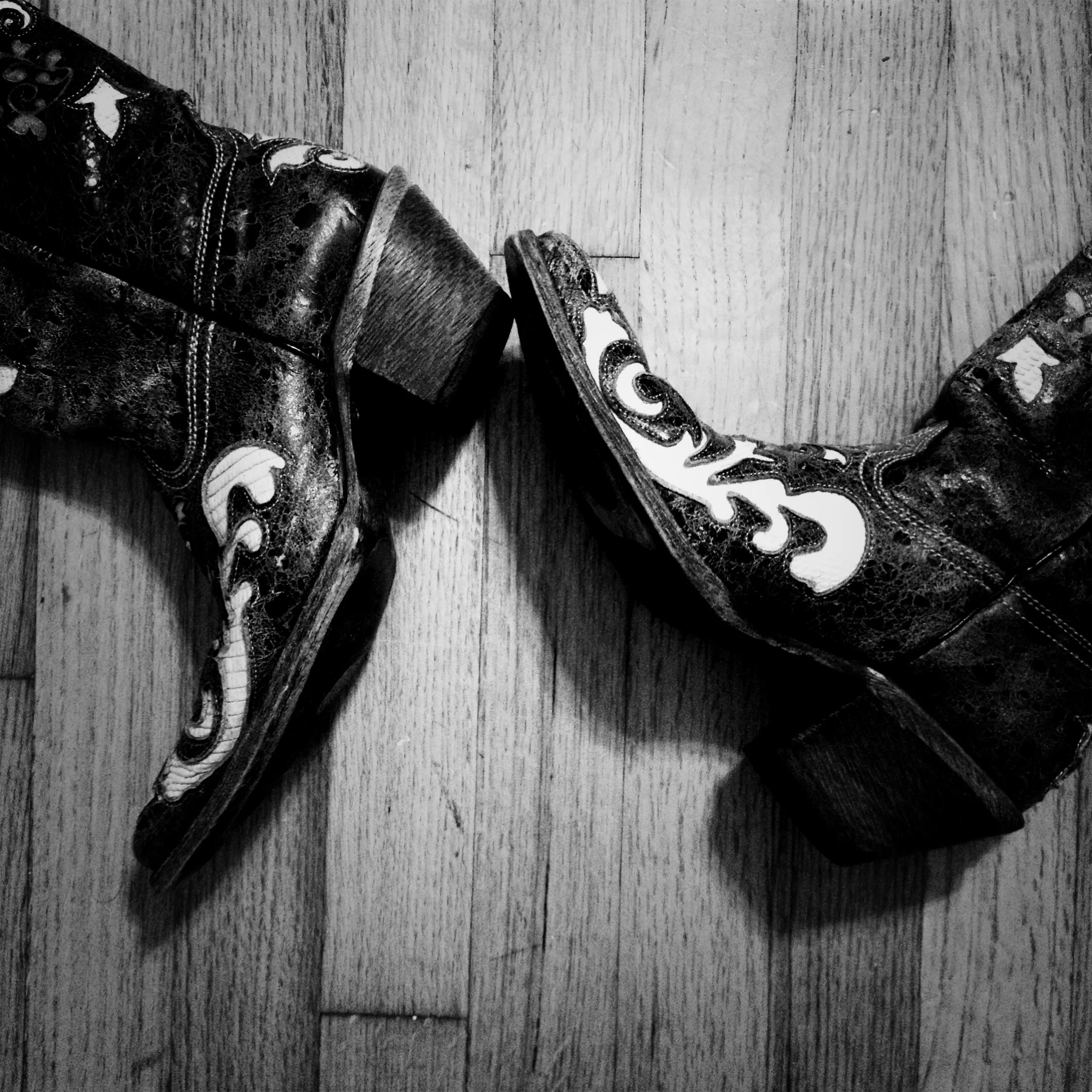 photo-5.JPG