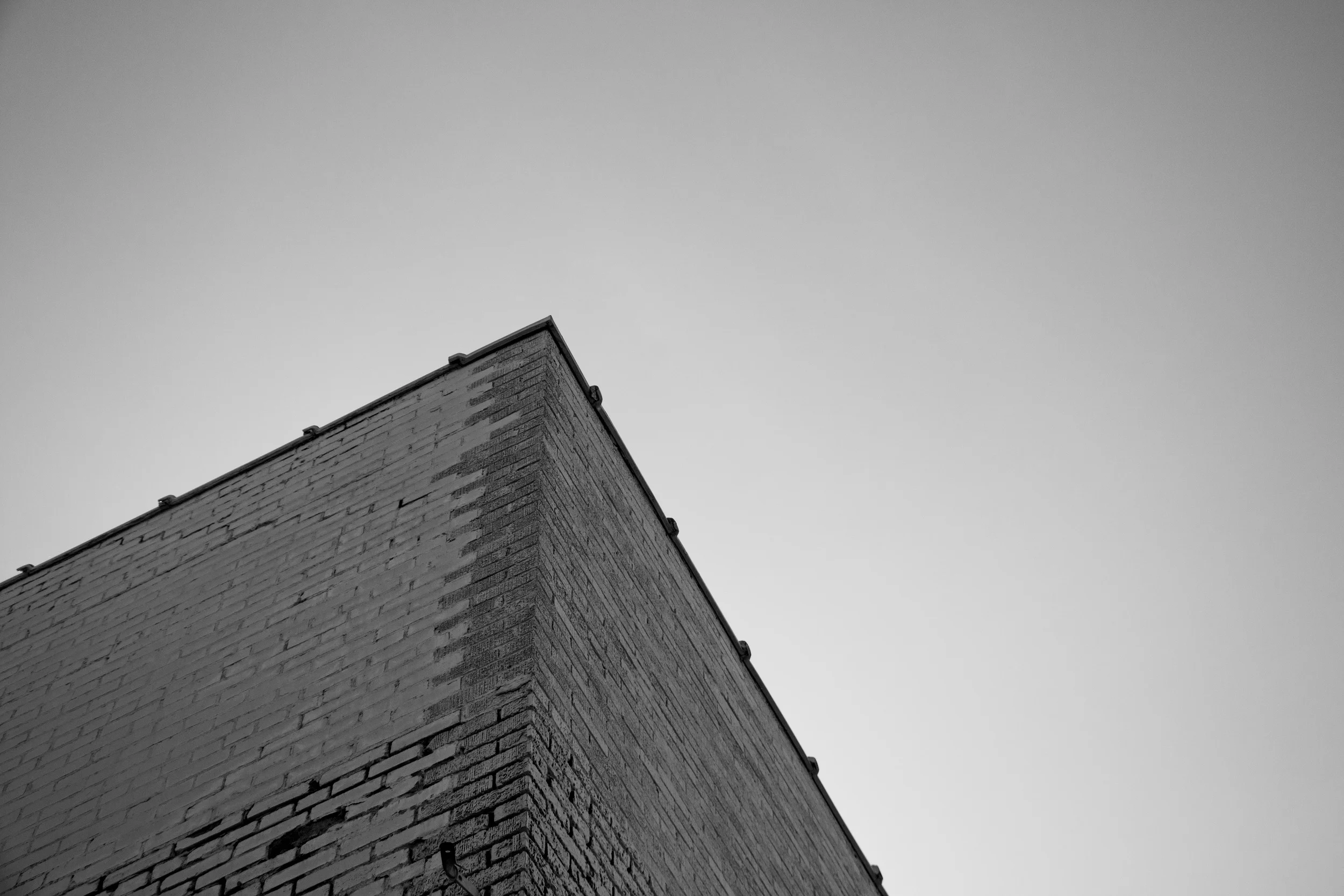 IMG_0250 smart copy copy copy.jpg