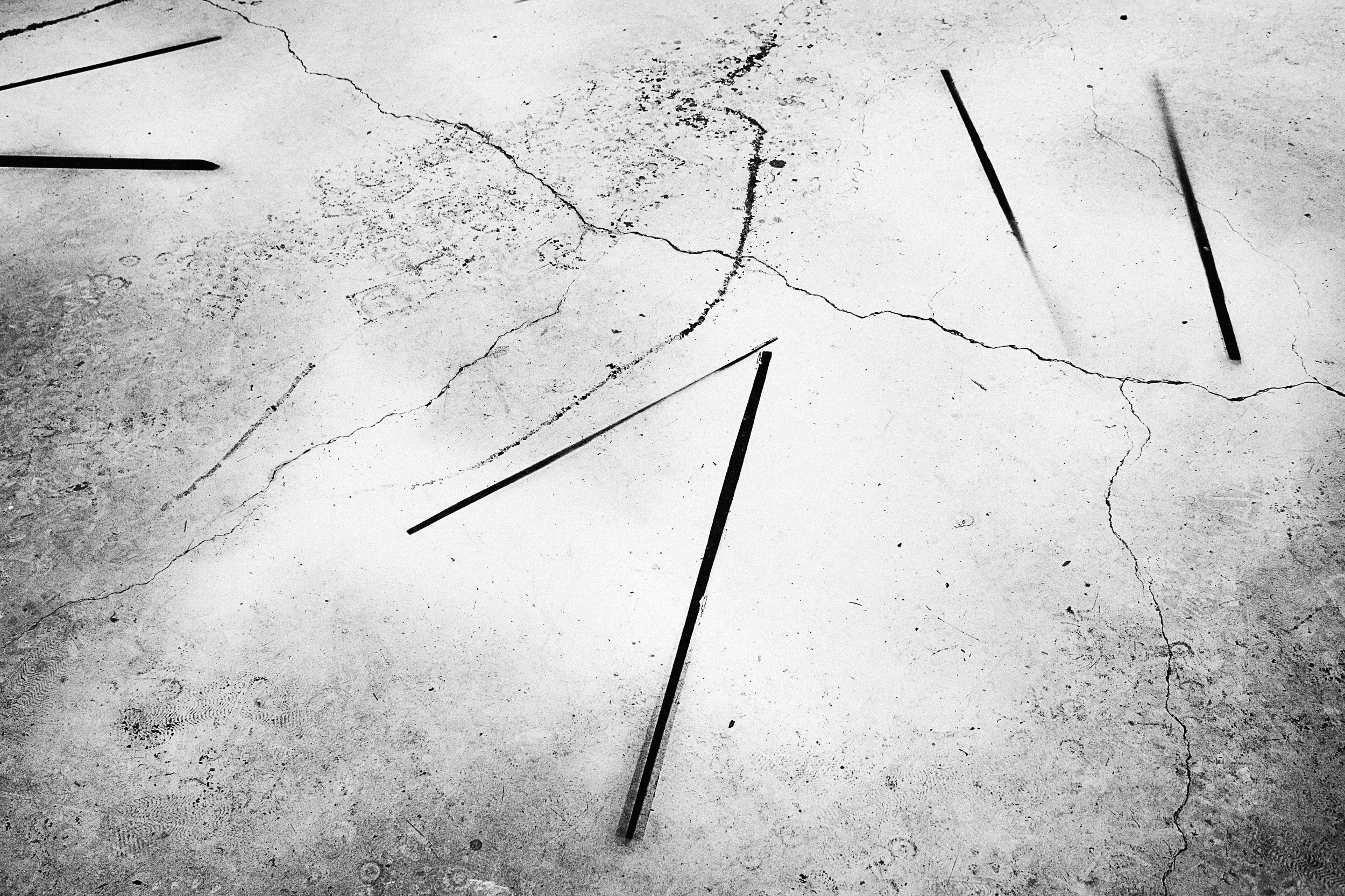 IMG_0721 overlay and sharpen copy.jpg