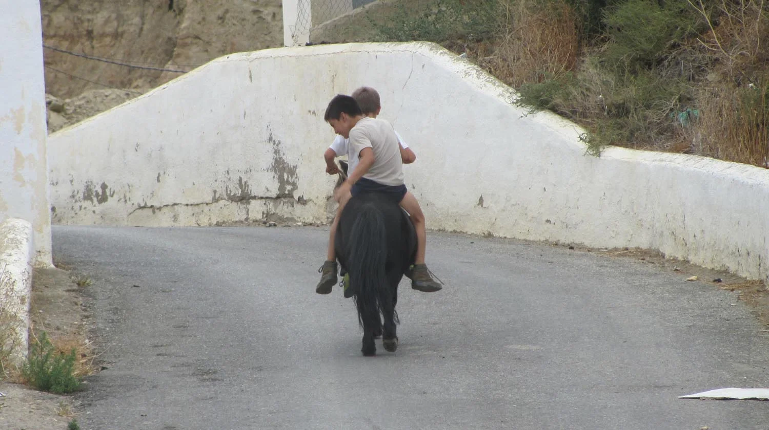 Young Boys riding a pony in Guadix