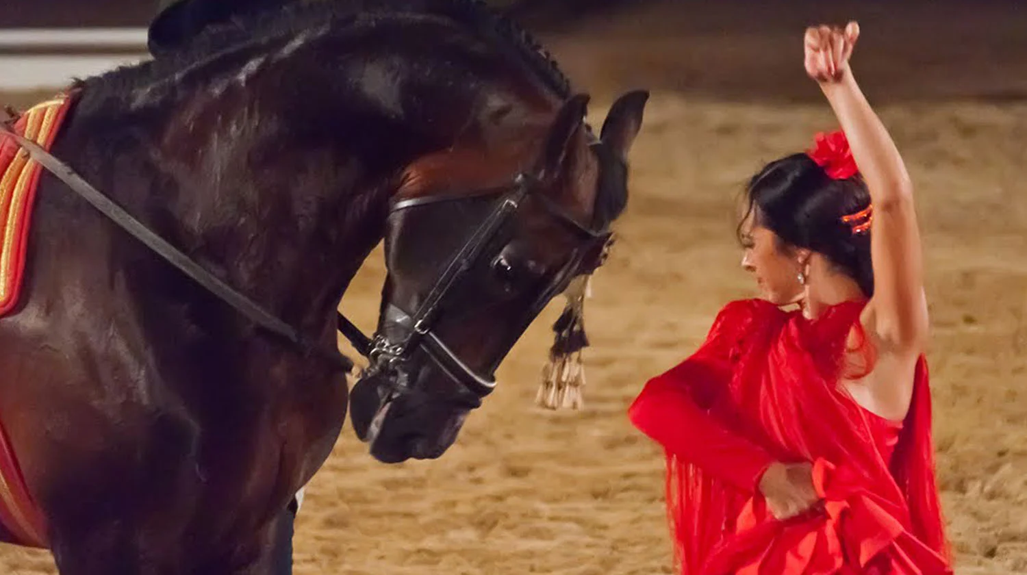 Enjoy the passion of Spain!