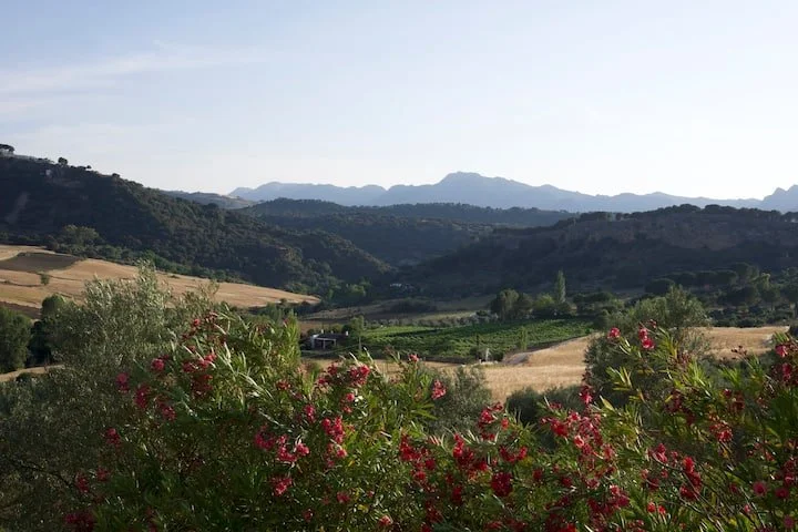 View from Oliveras.jpeg