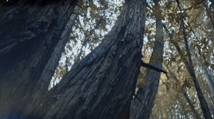 Mar-09-2026 15-18-23.gif