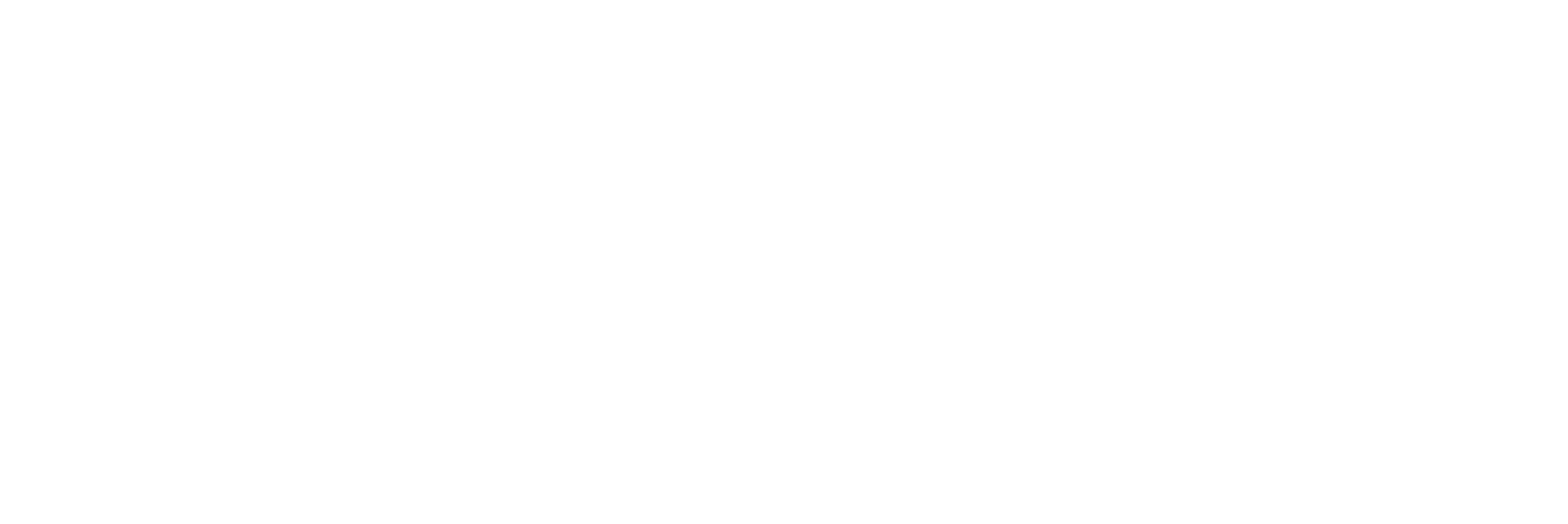 metro-logo-white.png