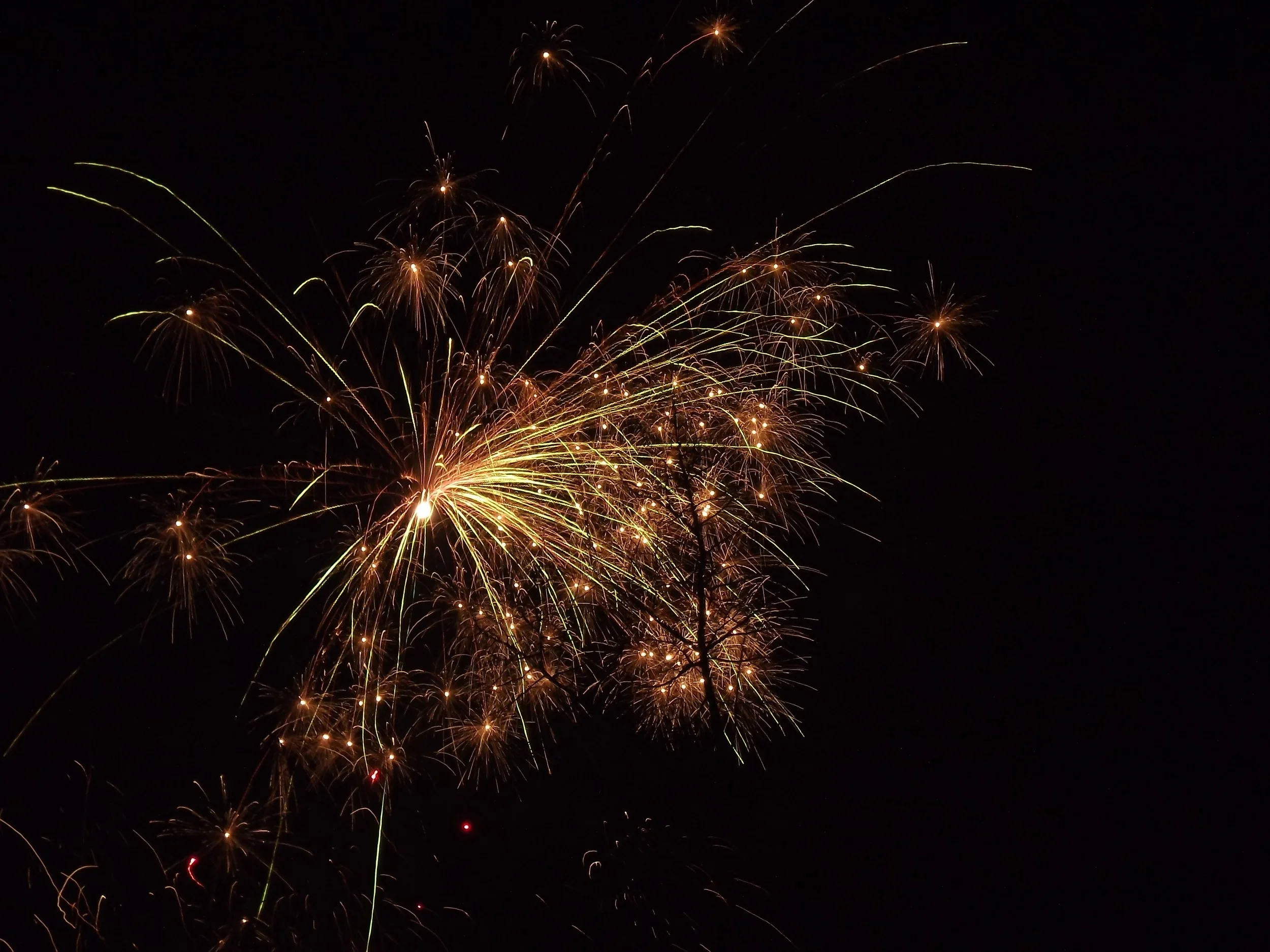 fireworks-247798.jpg