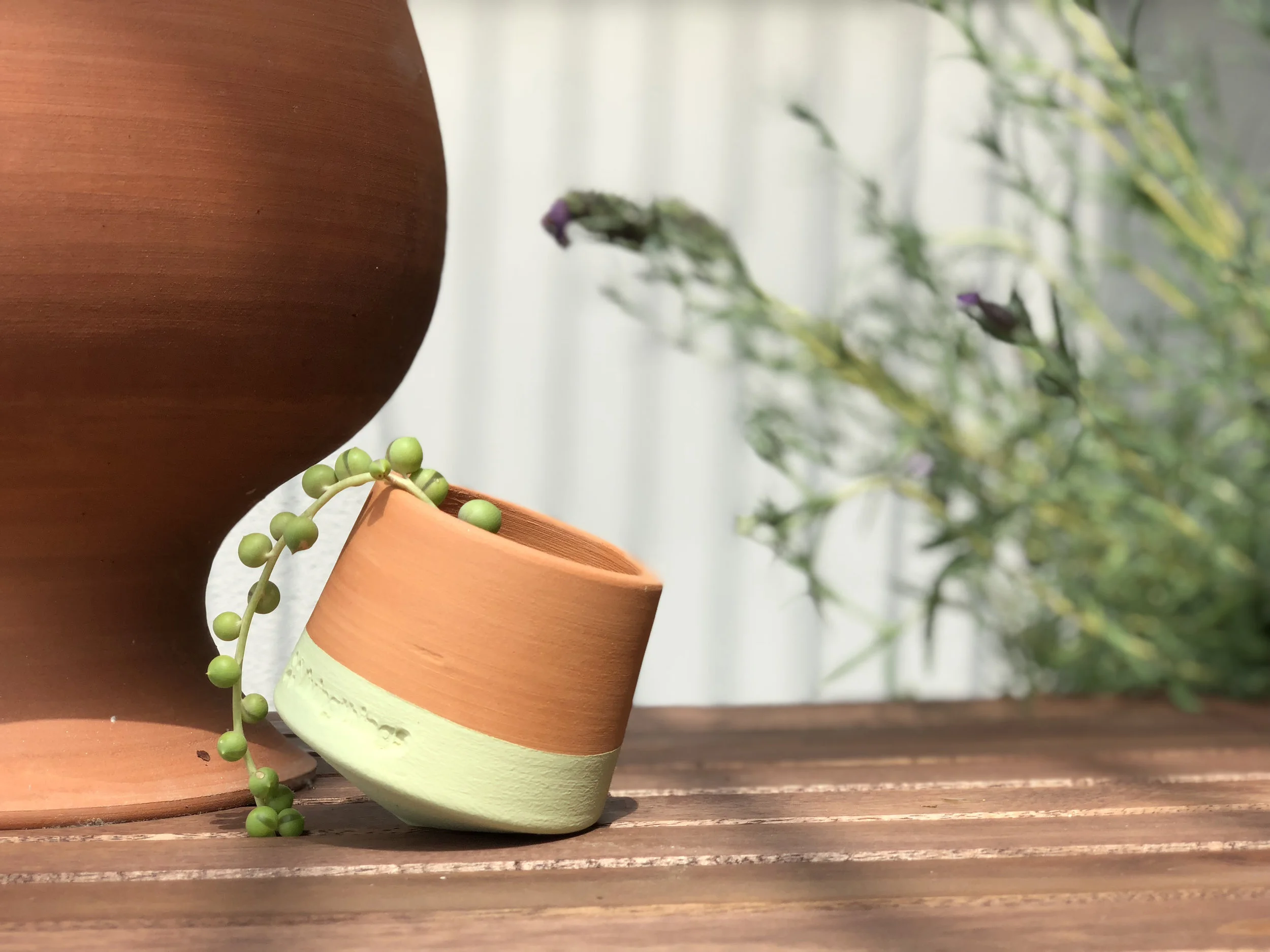 Green Voltasol Nano