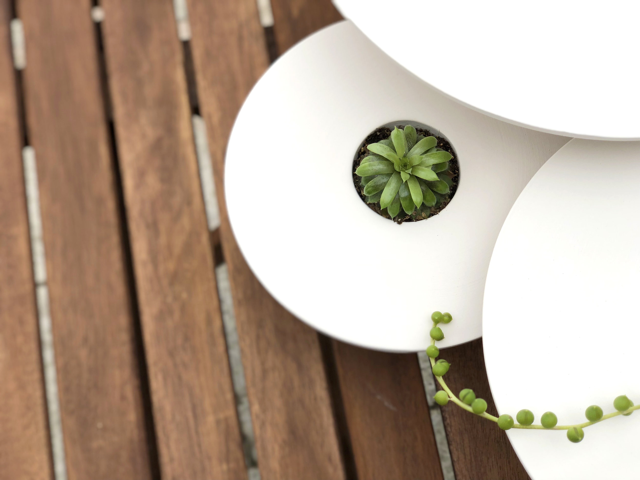 Tripot white by livingthings 04.jpg