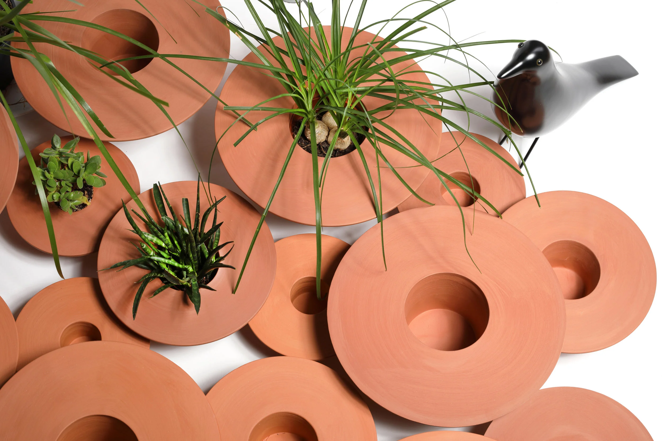 Tripot red by livingthings plant s.jpg