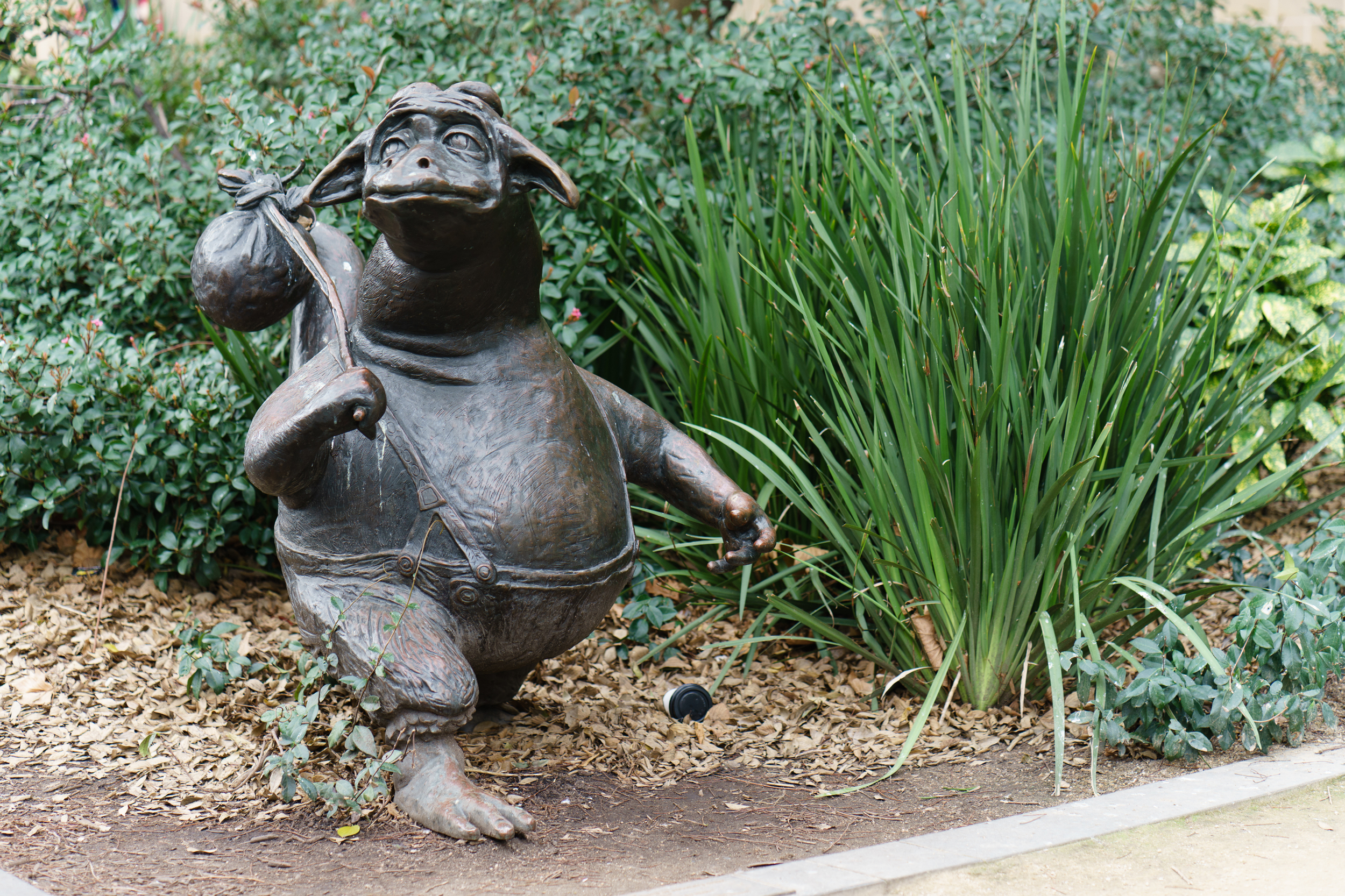 The Bunyip