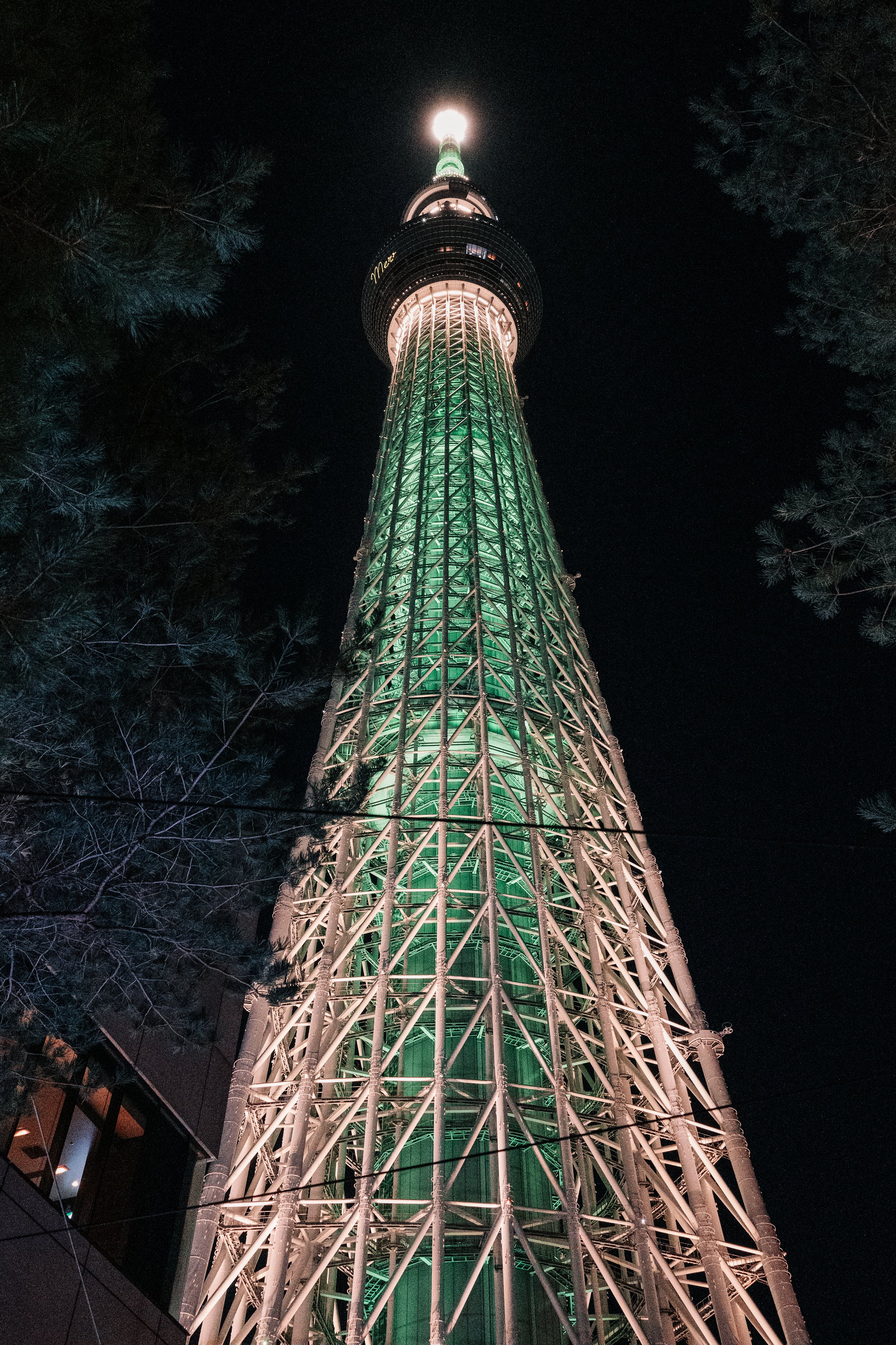 Day (Night) 1: Christmas Lights of Tokyo City