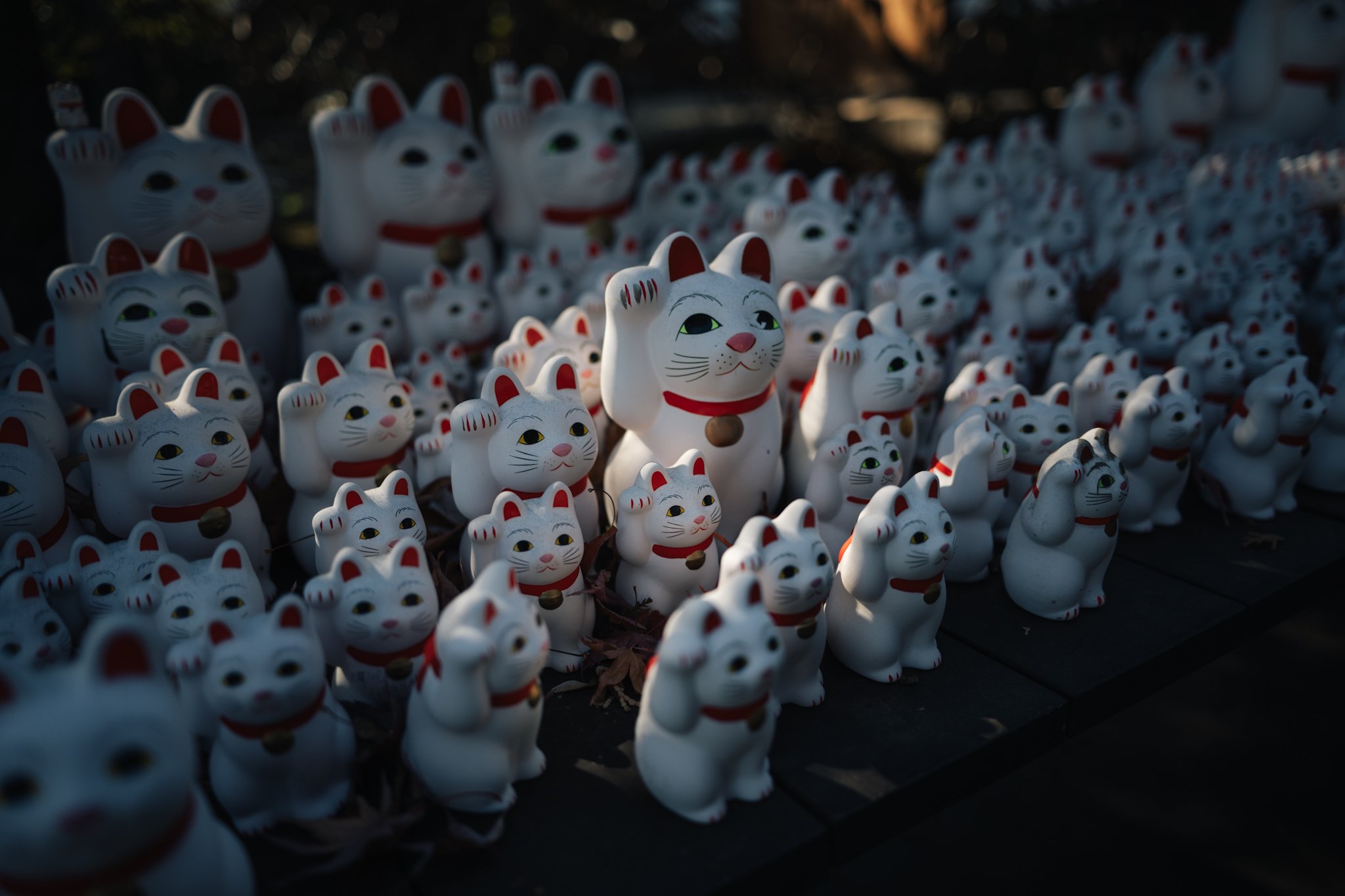 Day 3: Tokyo (Gotokuji + Omotesando + Shinjuku)