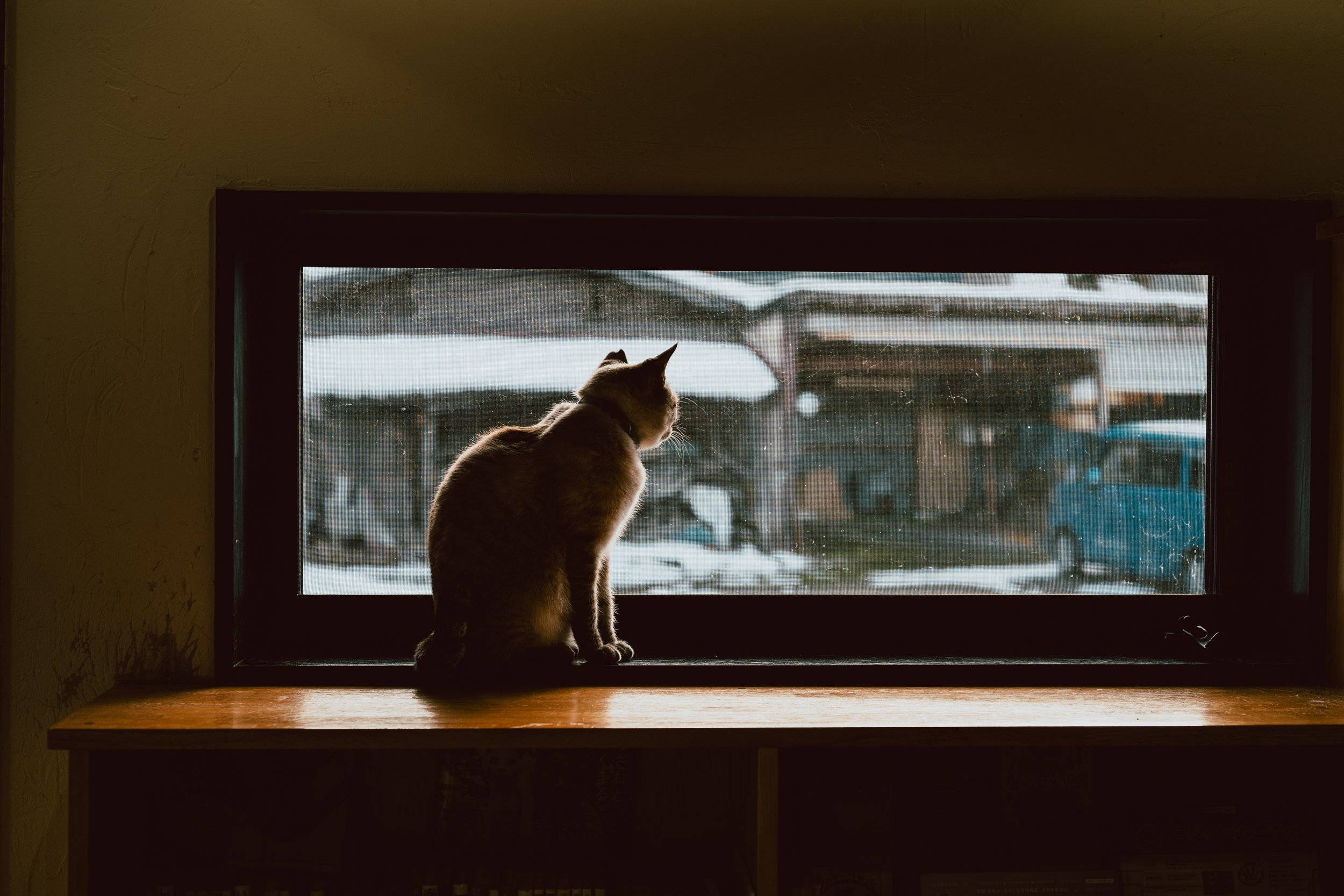 Day 11: Hida Folk Village + CATS