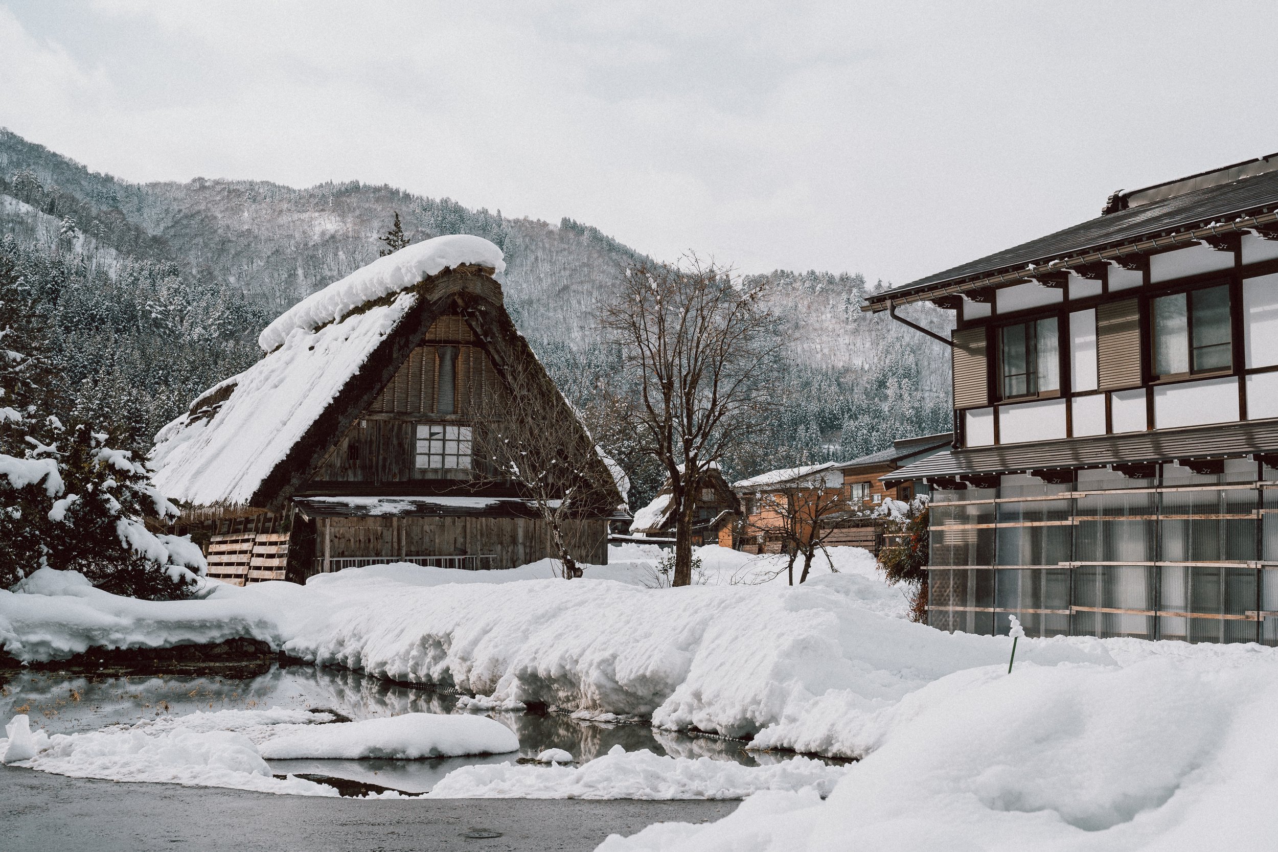 Day 12: Shirakawa-go and Ainu Village