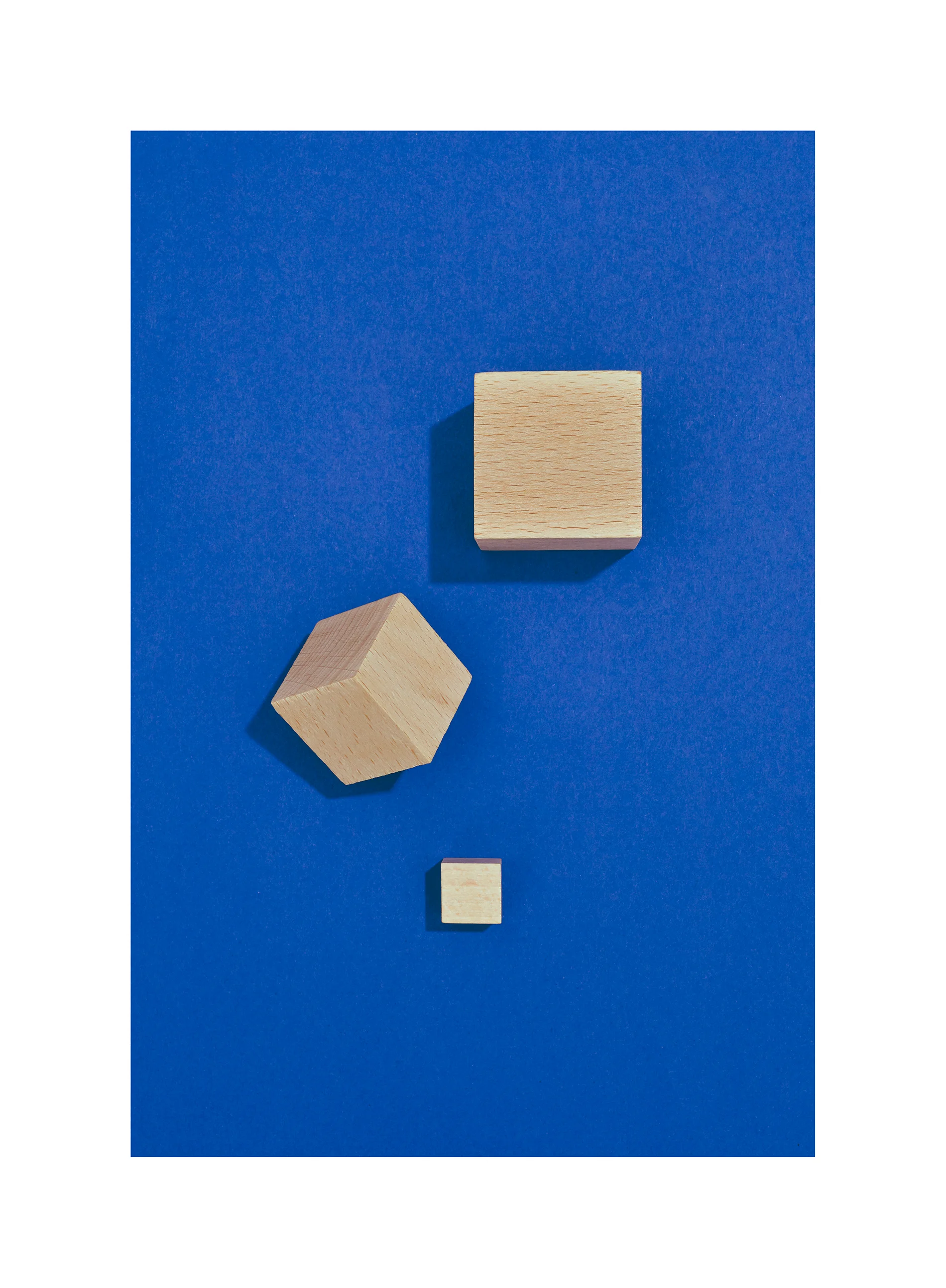 still_life_series_0320_web.jpg