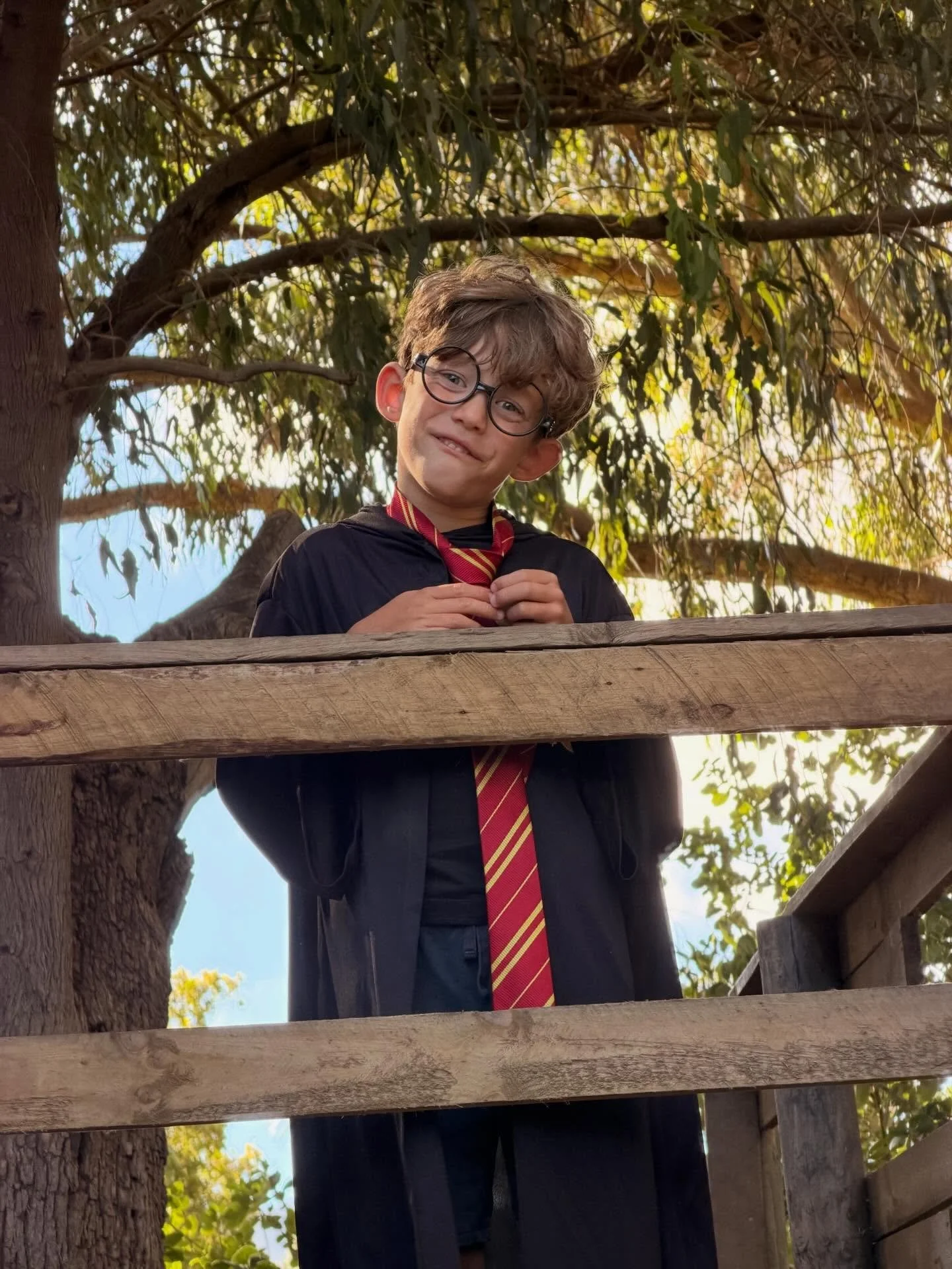 Carnaval in Noordhoek. Wat kwamen de leerlingen toch weer mooie verkleed naar school.

En wat een feest was het! De polonaise werd gedanst, de leerlingen lieten hun mooie kostuums zien op de catwalk, er werd een verkleedrace gehouden en de dag werd a