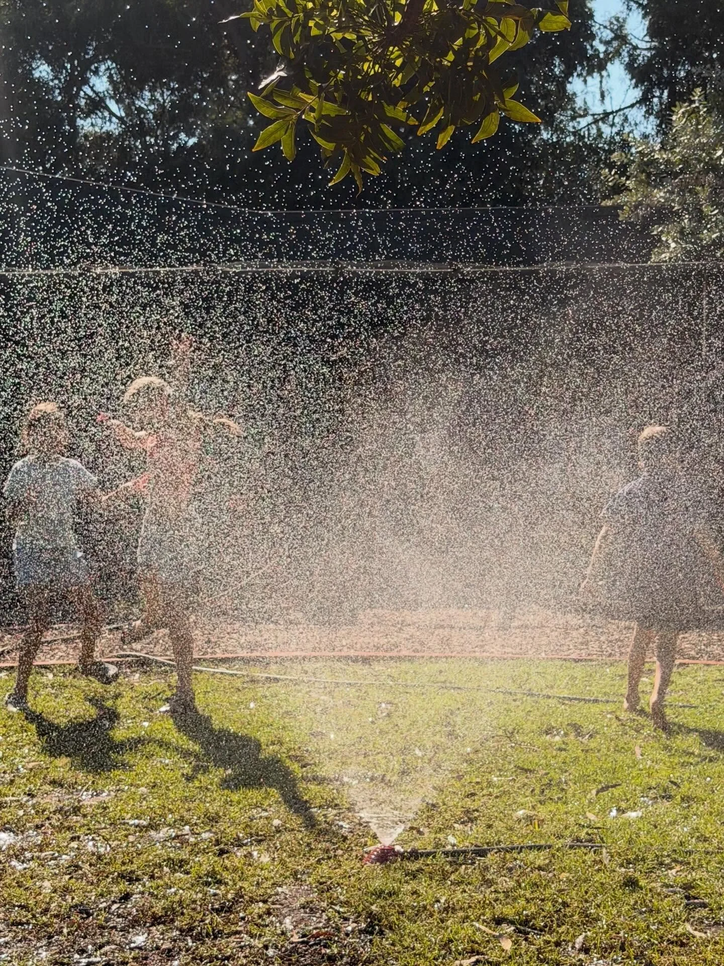 Even afkoelen tijdens de pauze 🌞.

#zomer #hetedag #nederlandselessen #nederlandsonderwijsinhetbuitenland