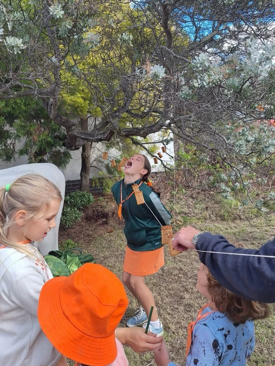Afgelopen maandag vierden we Koninsdag in Pinelands.
De kinderen genoten van de Koningsspelen, met Oud-Hollandse spelletjes, zoals: koekhappen, spijkerpoepen en zaklopen.

#koningsdag #koningsspelen2026 #verjaardagkoning #nederlandselessen #nederland