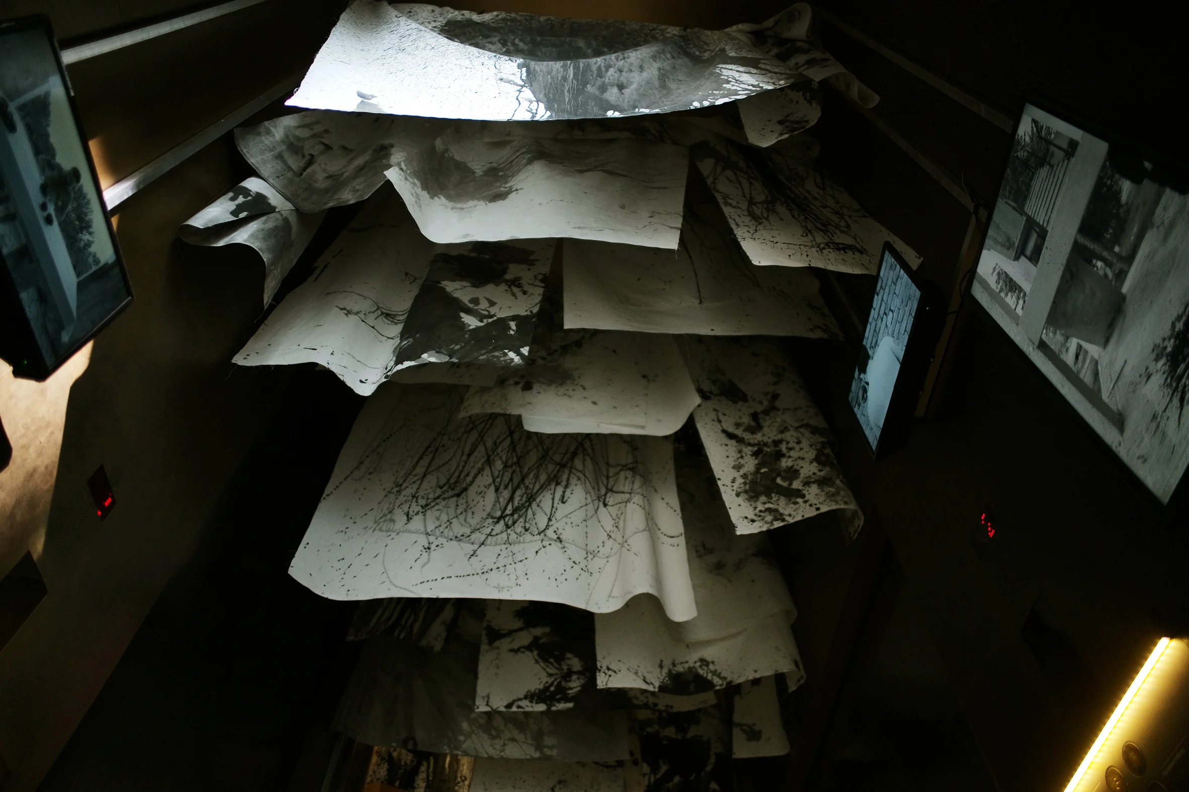 L1001473.JPG