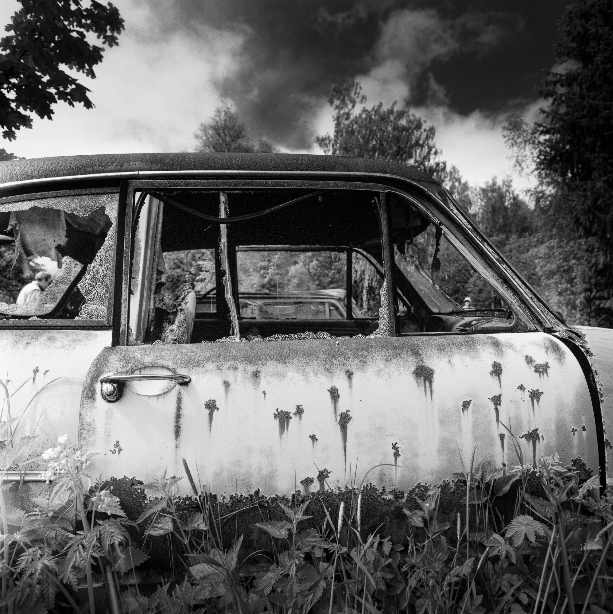 -Rollei infrared_493-©Bjørn Joachimsen.jpg
