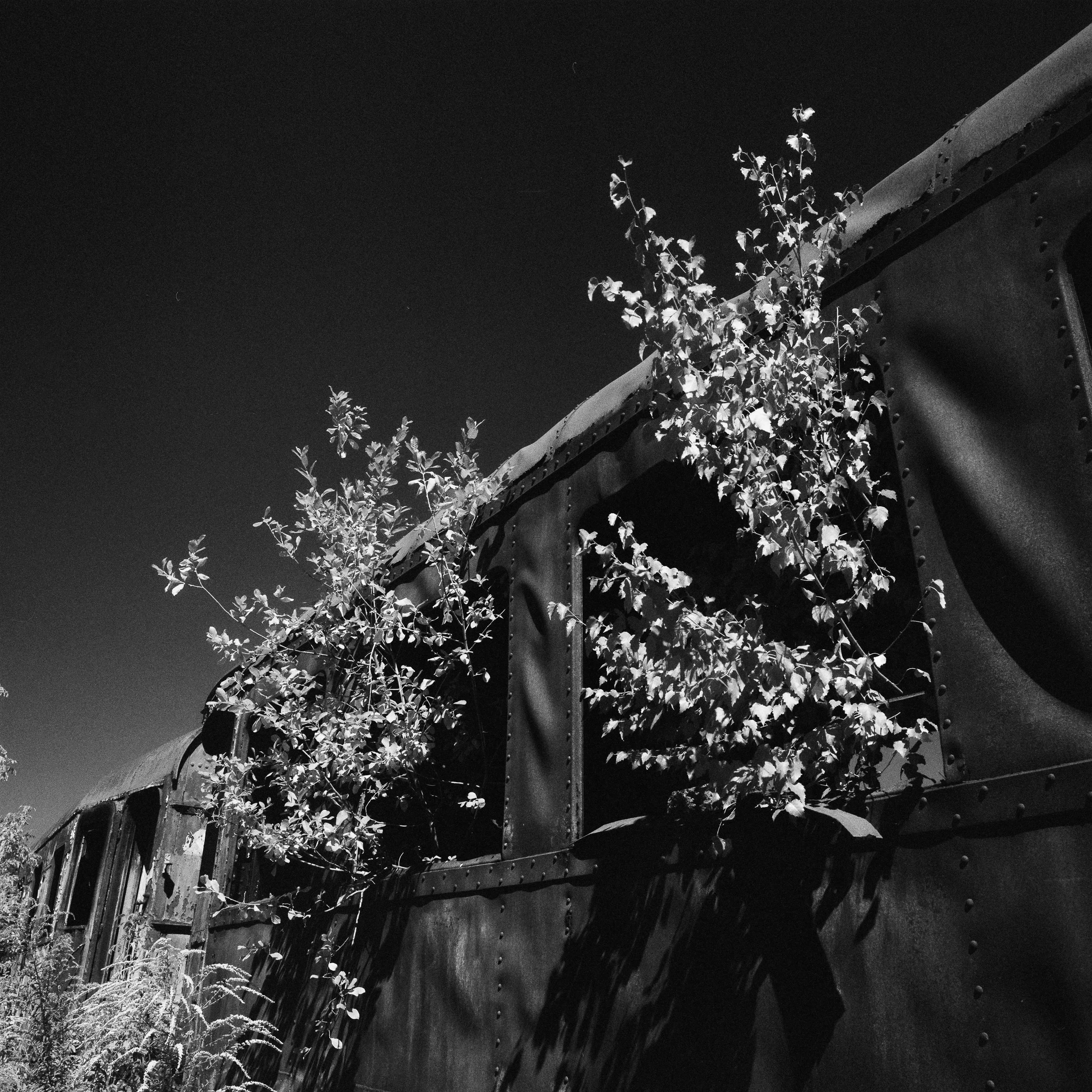 Stara lokomotywownia | Podgórze | Kraków | Poland-C004395-R1-03-4-©Bjørn Joachimsen.jpg