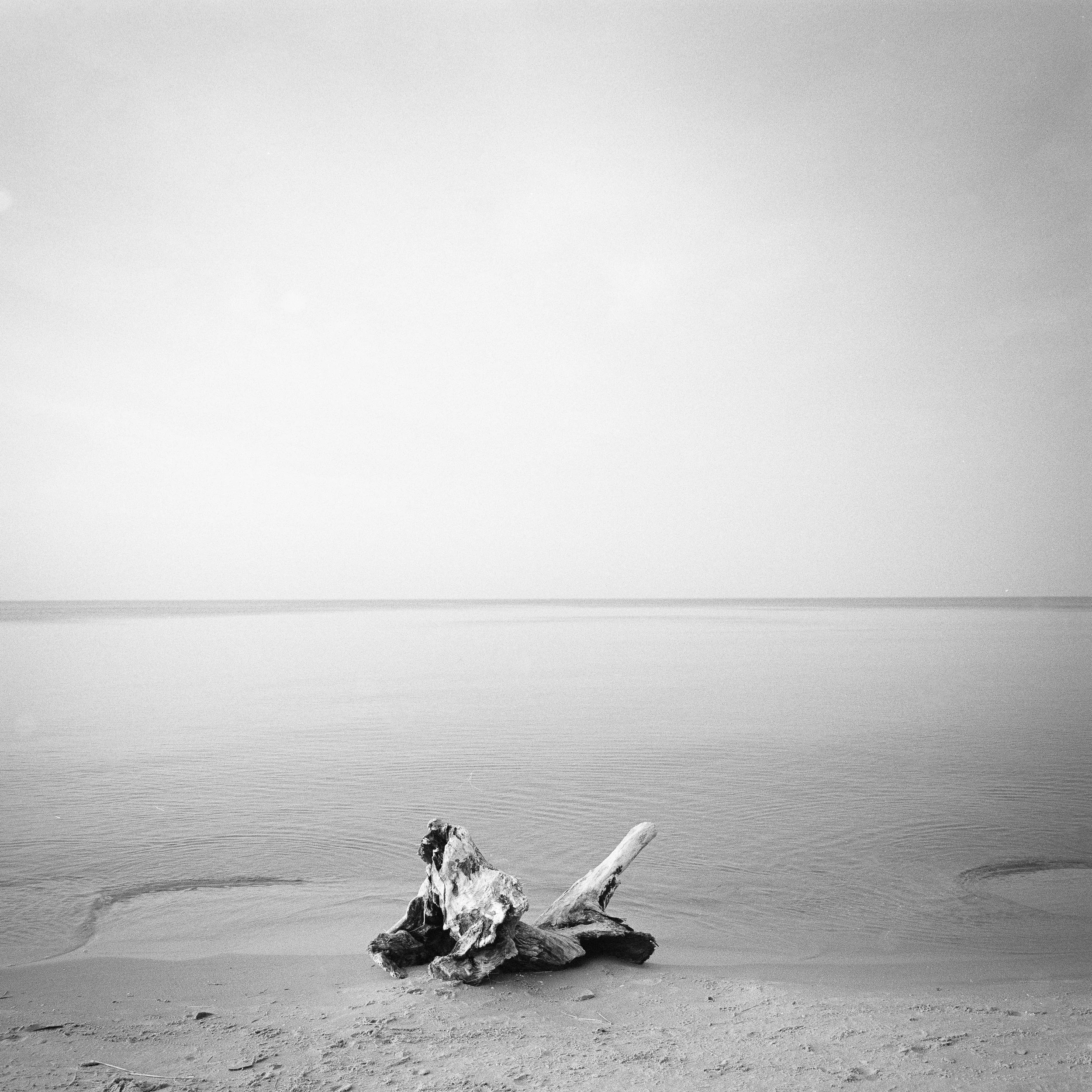 Kąty Rybackie | Pomorze | Poland-_DSC2813-©Bjørn Joachimsen.jpg