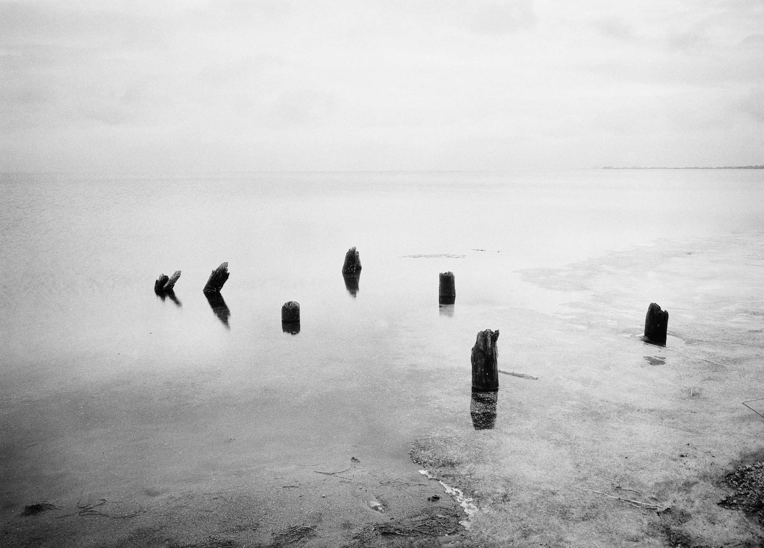 Beka | Pomorze | Poland-_DSC2901-©Bjørn Joachimsen.jpg