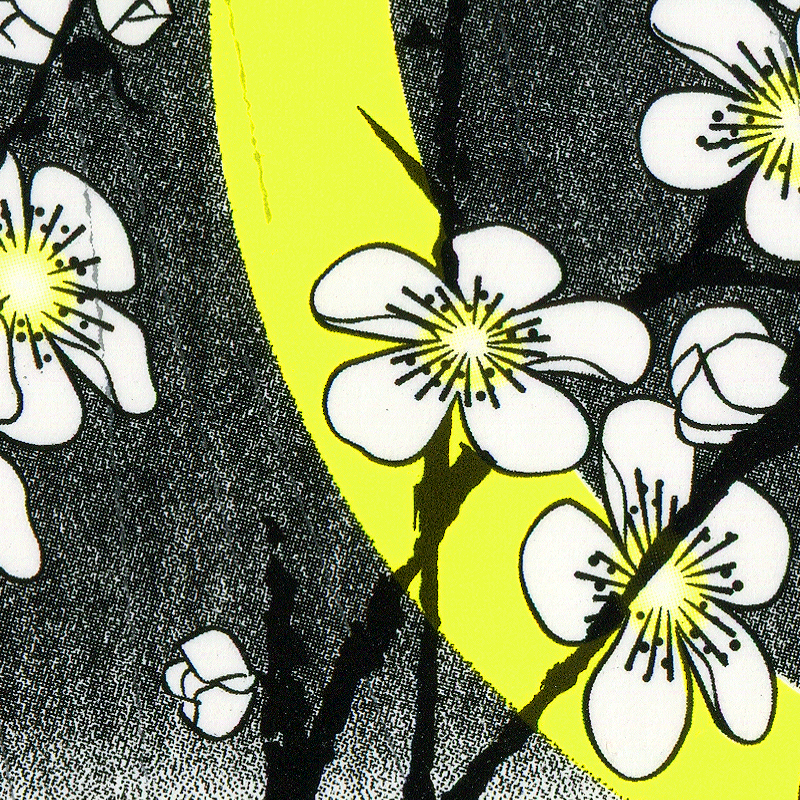 Viktor Hachmang (Detail)