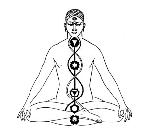 The Chakra System