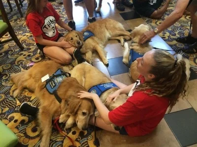 Orlando Emotional Support Dogs - Unconditional Love Beings