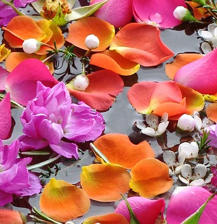 image via enchantedlivingarts.com