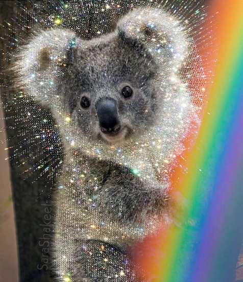 George Wright on the Fires in Australia 