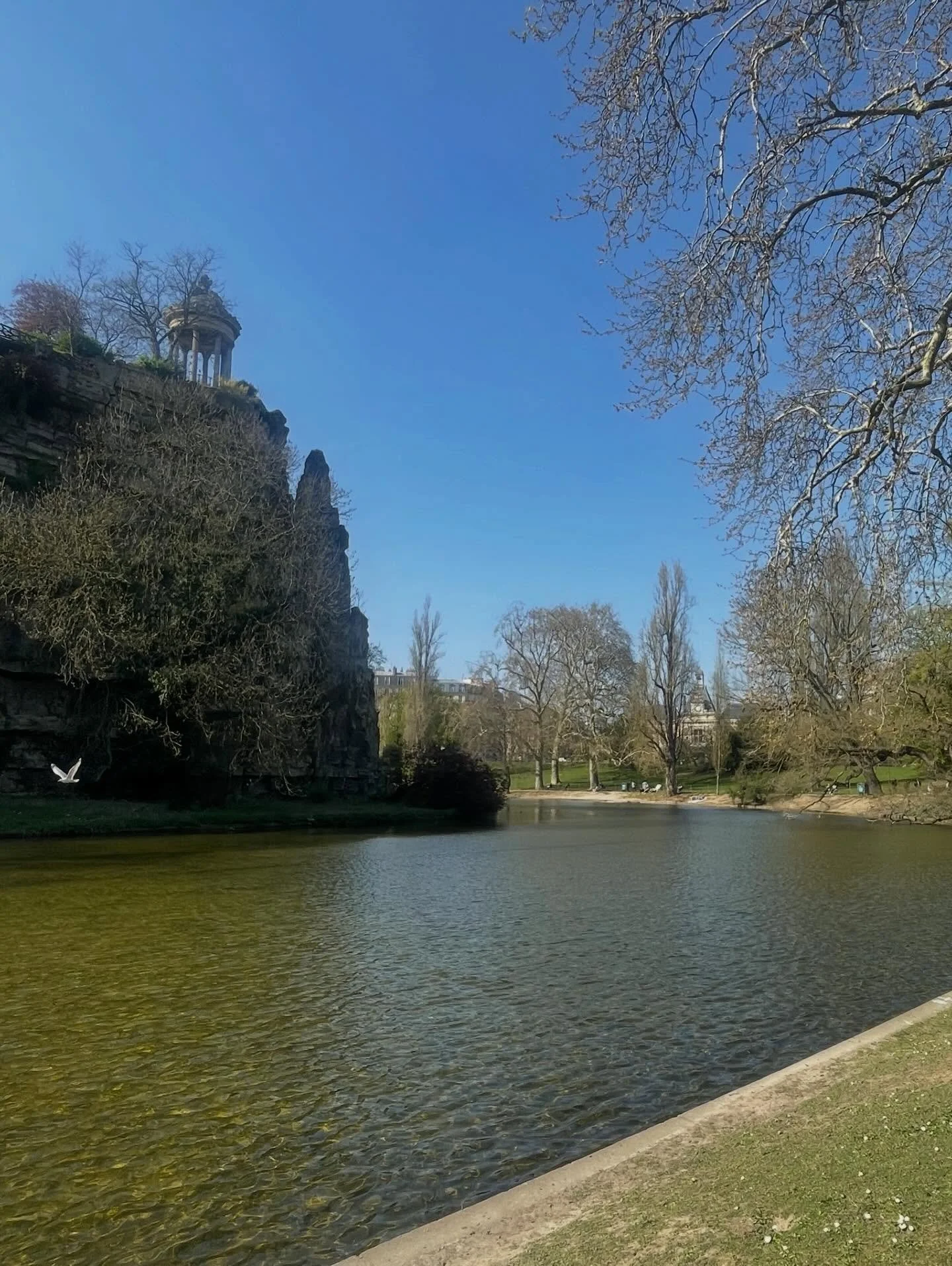 It is estimated that flowers predate humans by over 100 million years. Before there were flowers there was lots of green. Algae, grass, ferns, eventually evergreens.
 
As the old world breaks down, I wonder what we are returning to. The fate of so ma