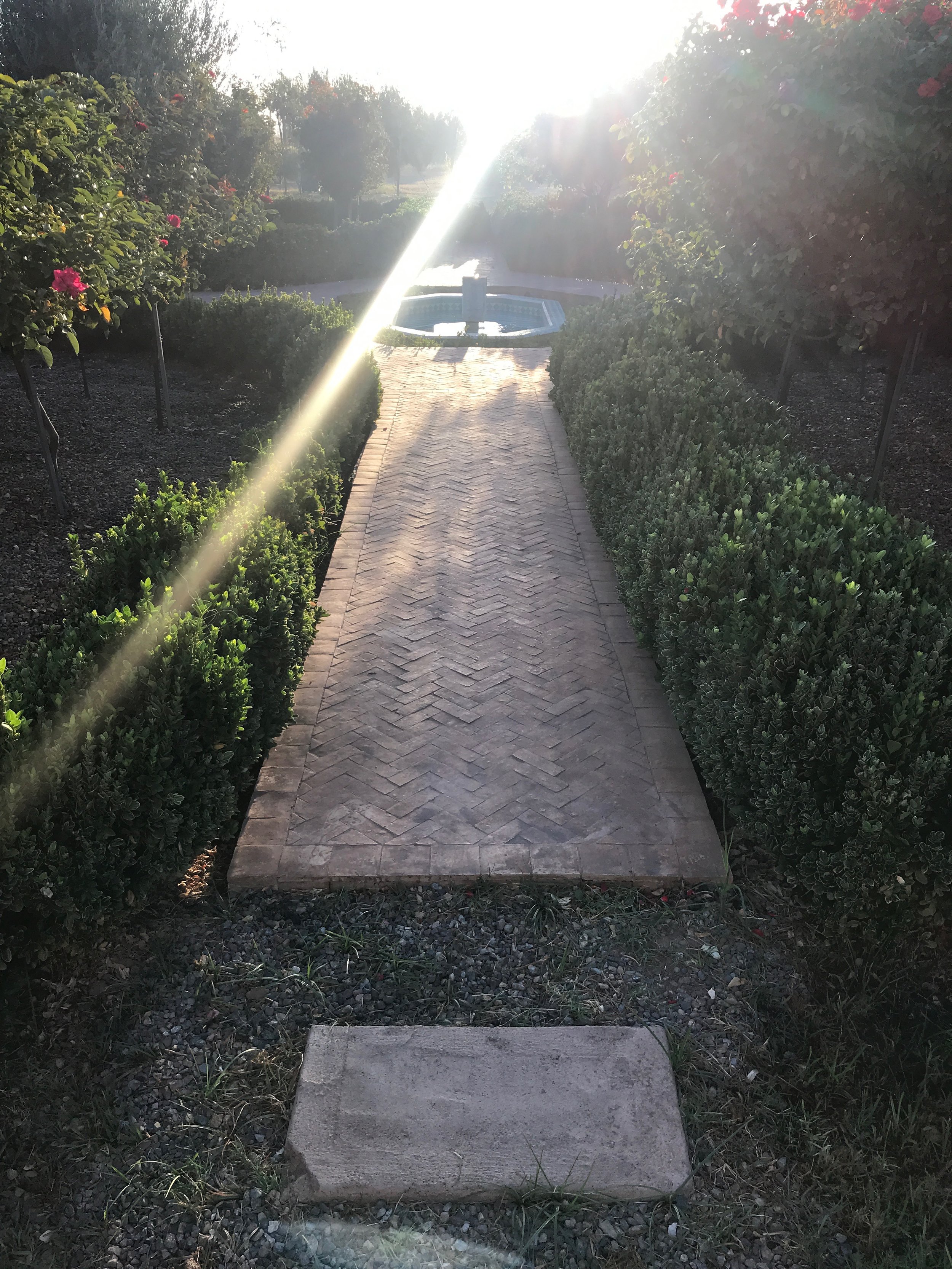 The stunning grounds of Peacock Pavilions at first light