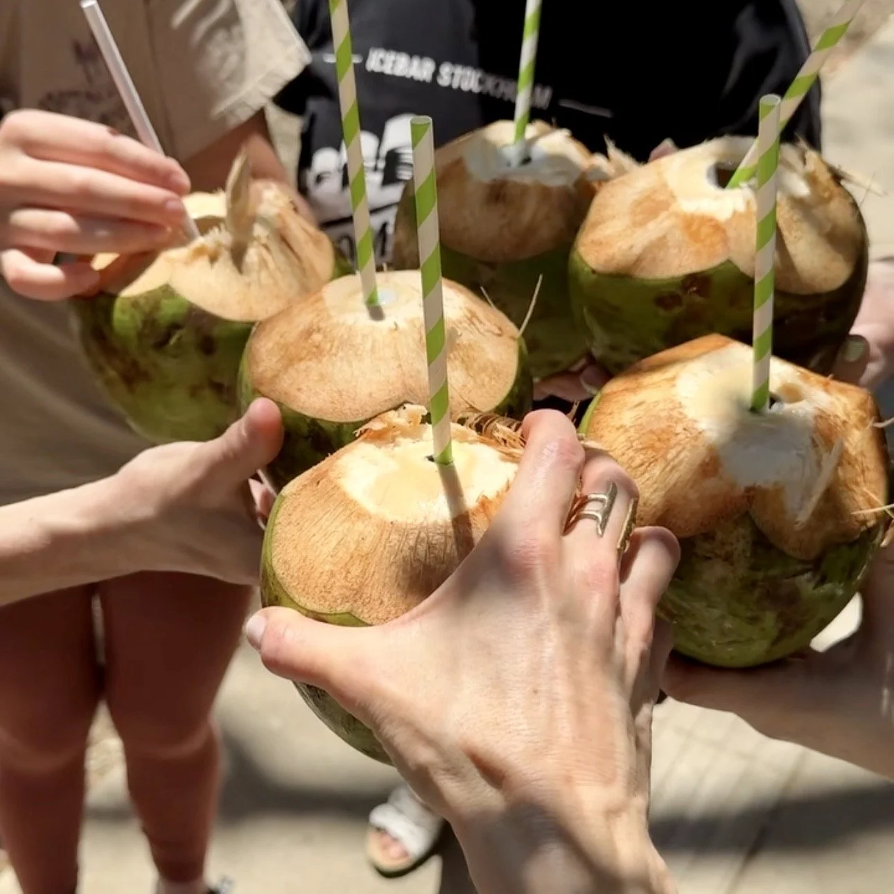 coconut cheers nosara retreat IMG_2958.jpg