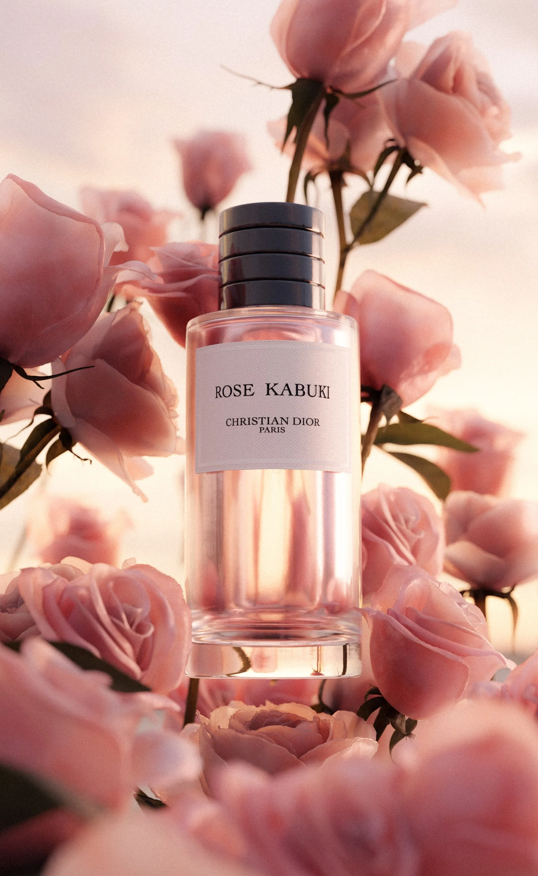 DIOR KABUKI phone www2.jpg